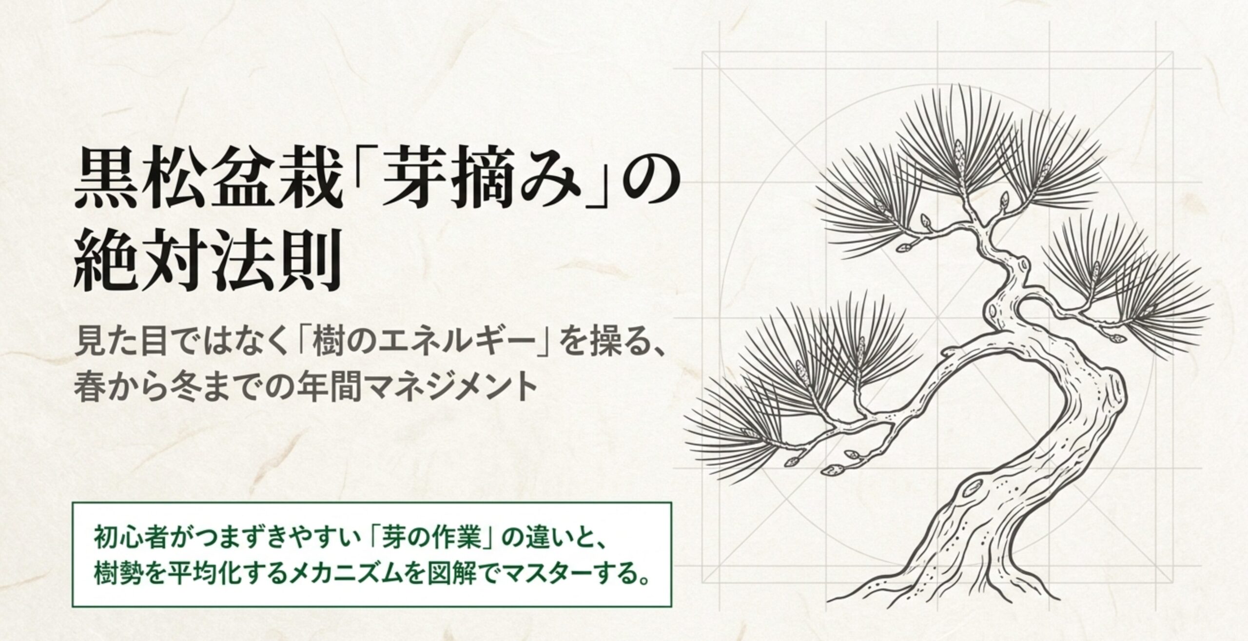 黒松盆栽のイラストとともに「芽摘み」の絶対法則と年間マネジメントについて記載されたタイトルスライド画像