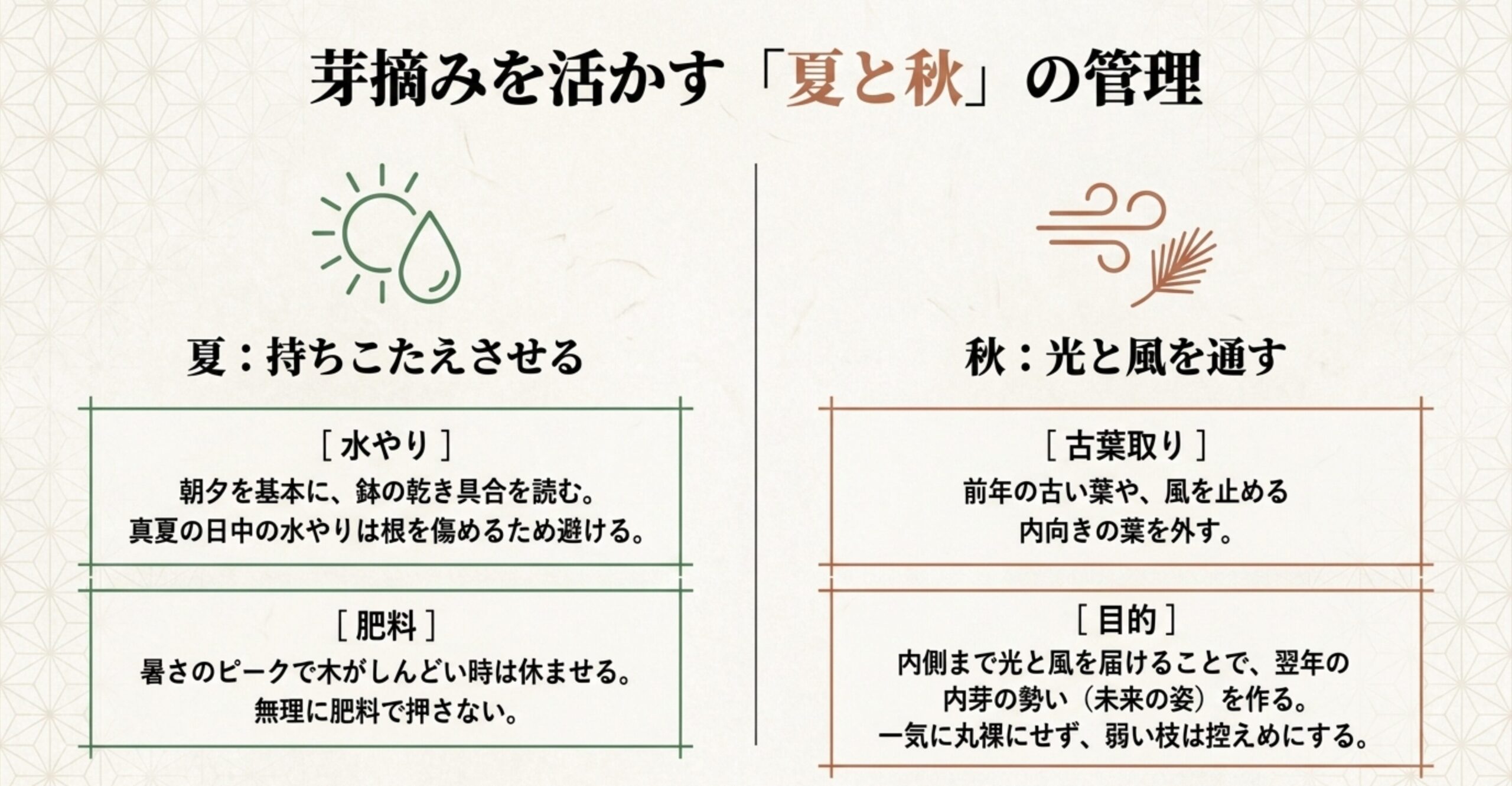 太陽と水滴のアイコンとともに、夏場の持ちこたえさせる水やり・肥料管理と、秋の光と風を通す古葉取りの目的をまとめたスライド画像