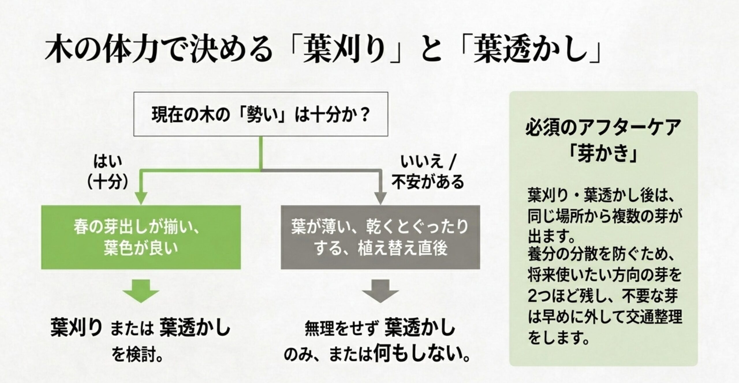 「元気な木なら葉刈り、弱っているなら葉透かし」という文章の要約として、判断フローの図を先に見せます。