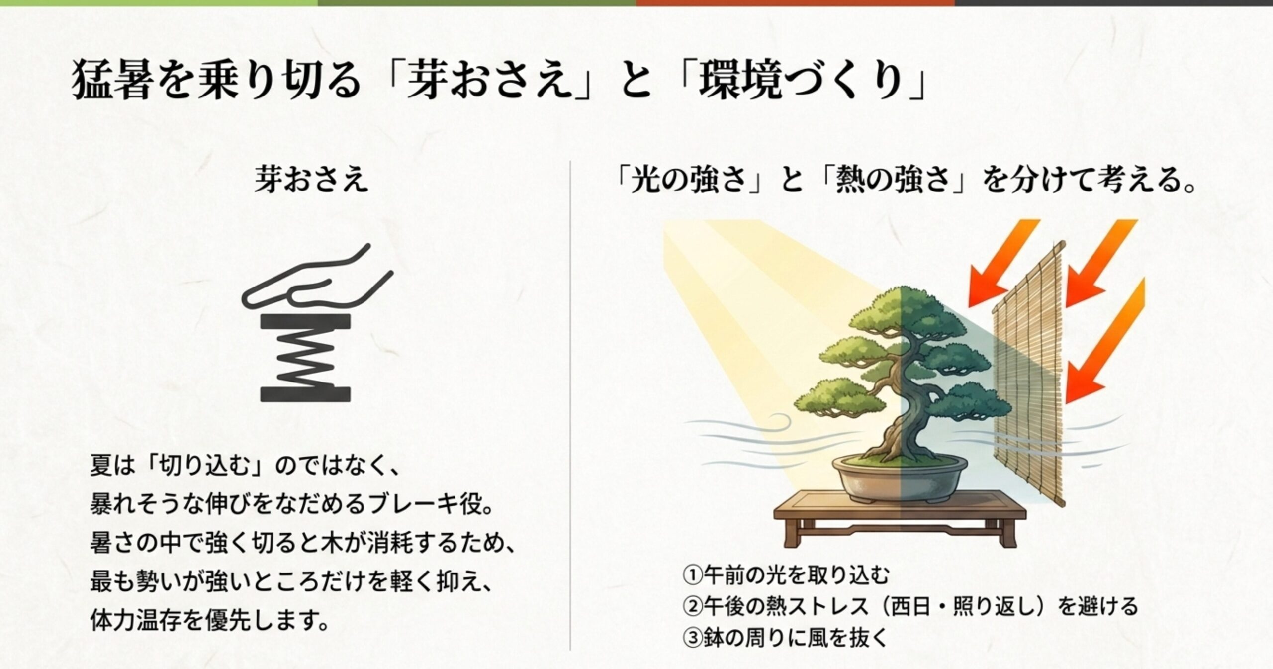 夏の芽おさえと遮光・風通しの両方を網羅した図なので、置き場所についての解説がまとまった直後に置くのが最適です。