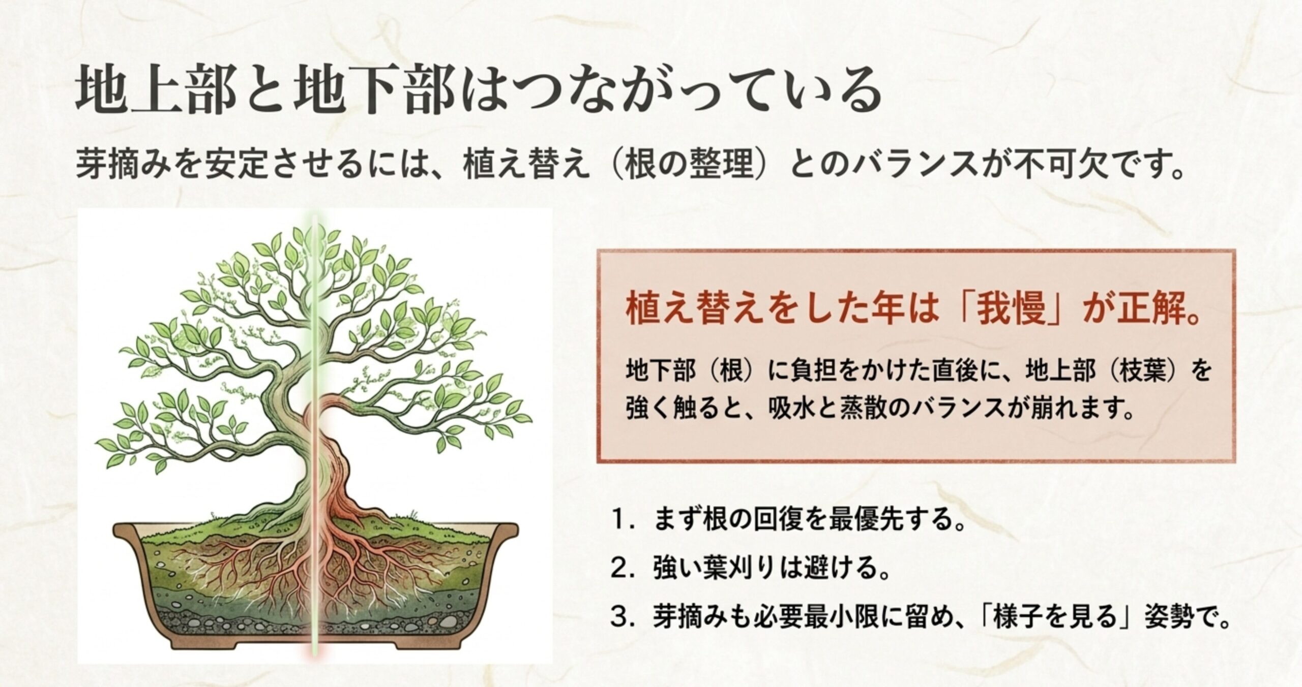 「根と枝葉はつながっている」という文章の直後に、鉢の中と外のバランスを描いた図解を入れます。