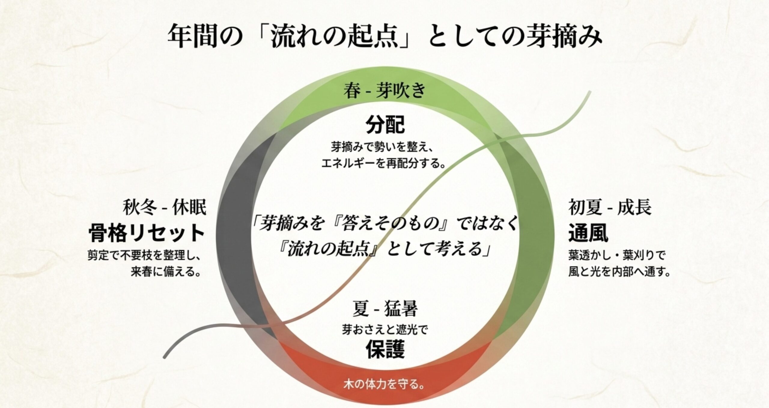 春〜秋冬までの年間のサイクルと芽摘みの関係性を語った直後に配置し、記事全体の流れを総括します。