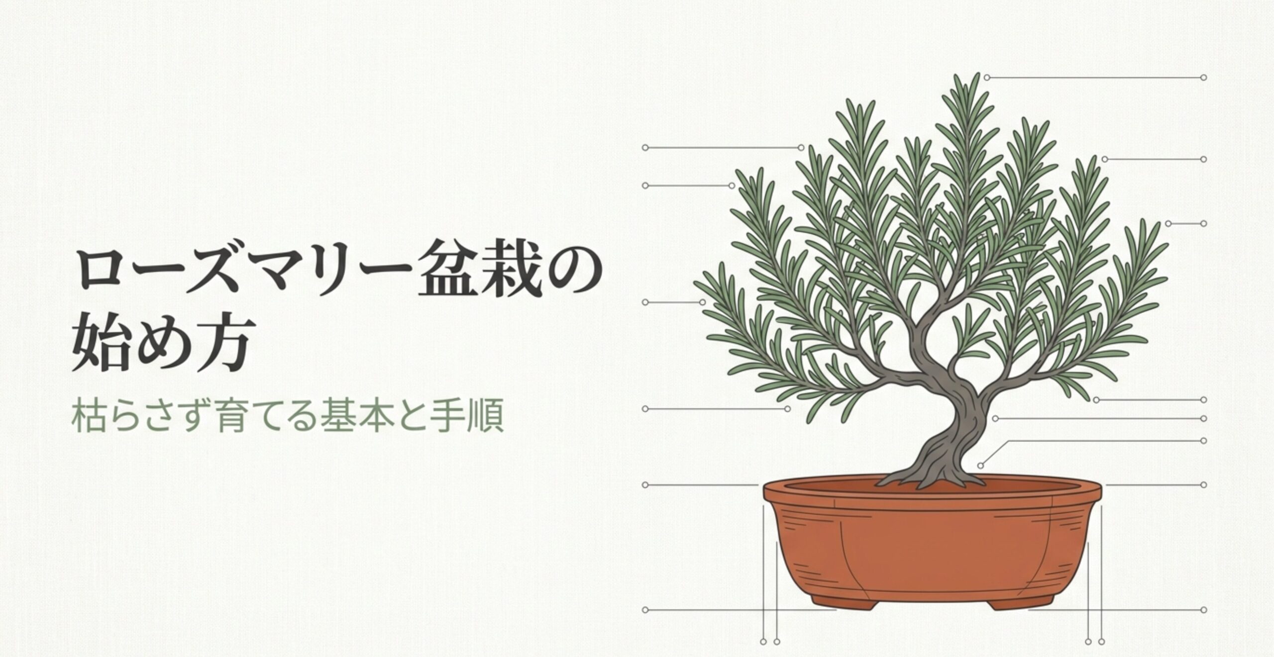 鉢植えにされた美しいローズマリー盆栽のイラスト