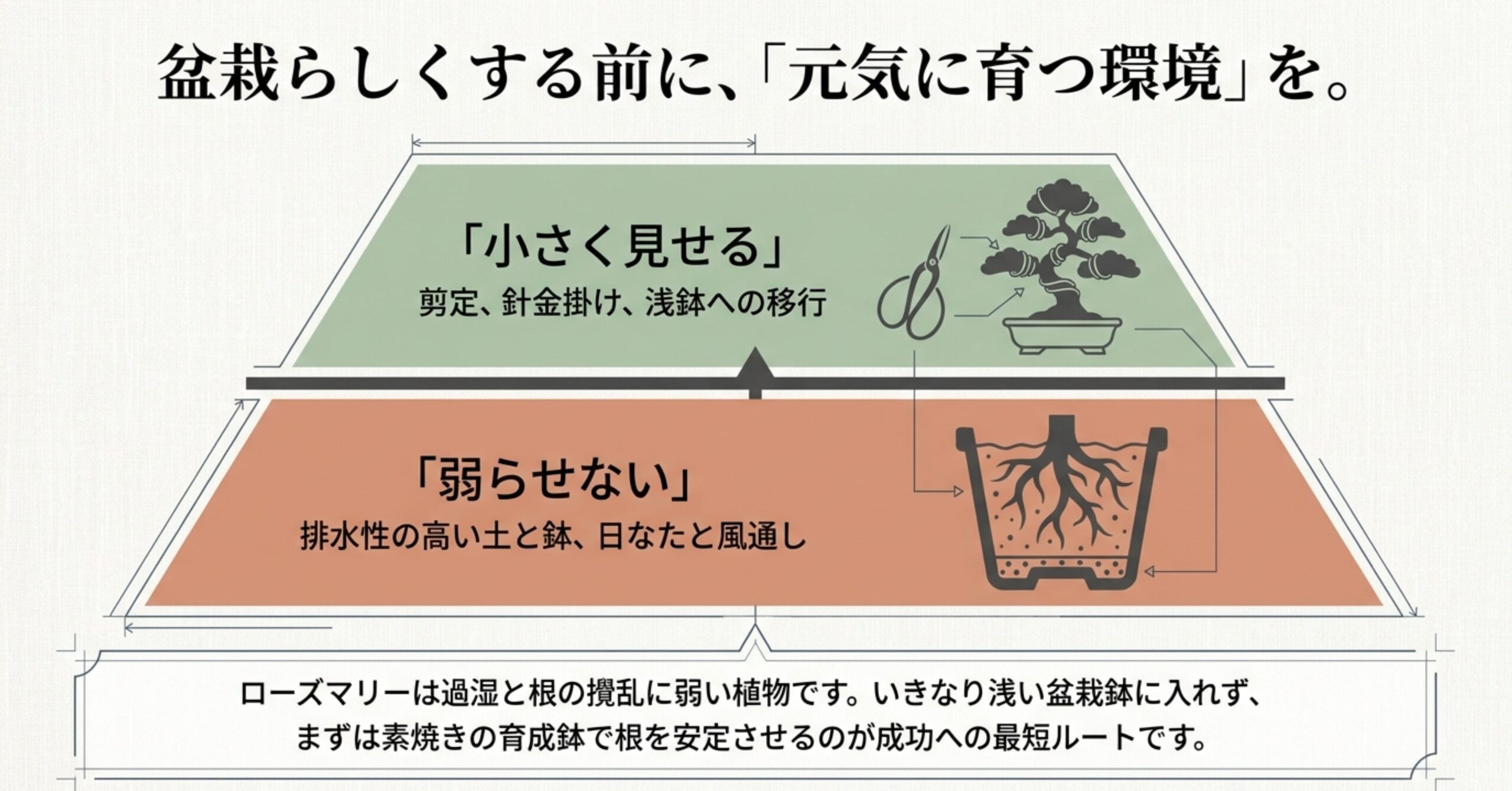ローズマリー盆栽の育成コンセプトを示す図解。「小さく見せる」前に「弱らせない」土台作りが重要であることを説明。