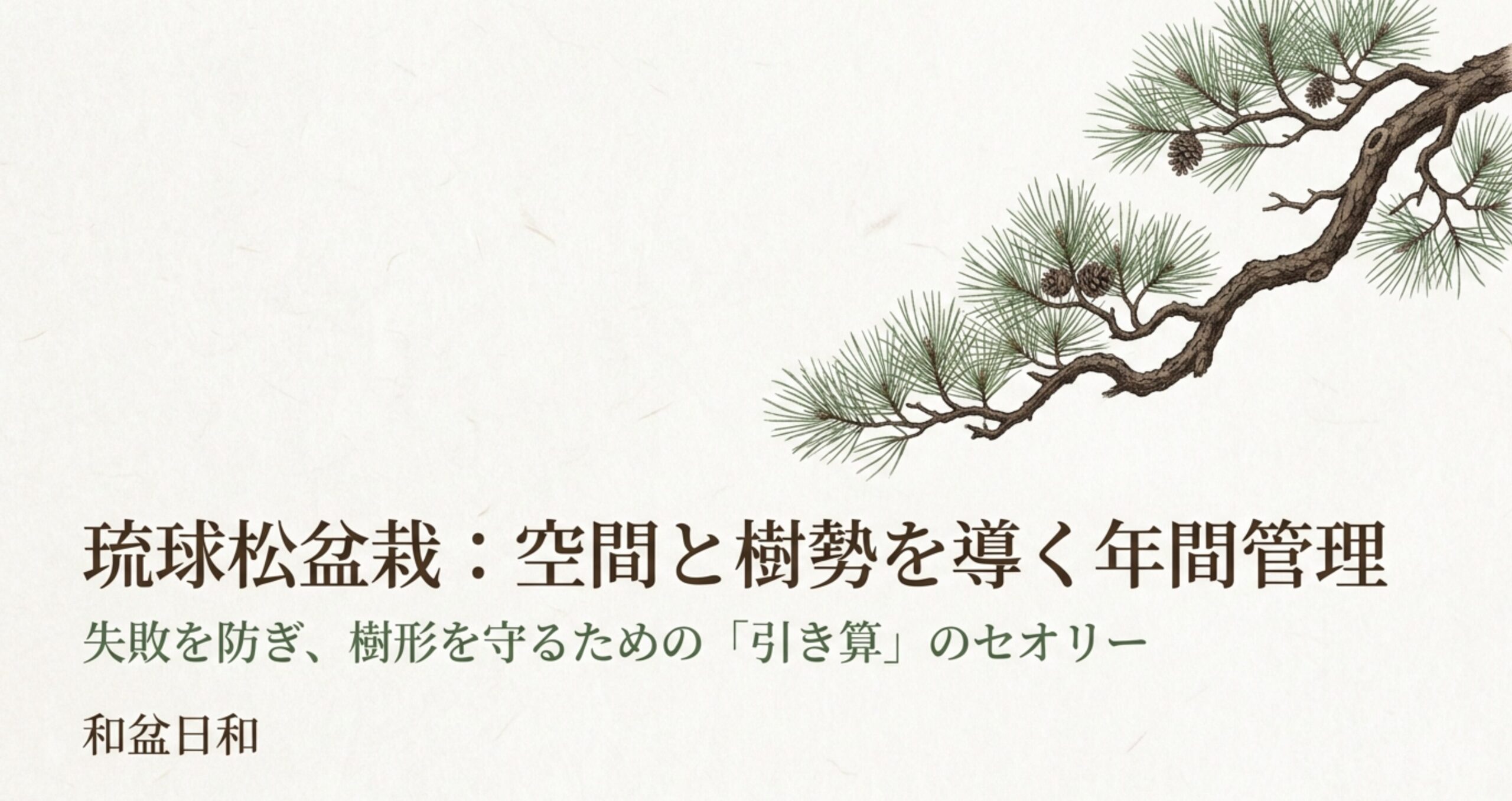 琉球松の枝葉のイラスト。空間と樹勢を導く年間管理と、失敗を防ぎ樹形を守るための引き算のセオリーについて 。