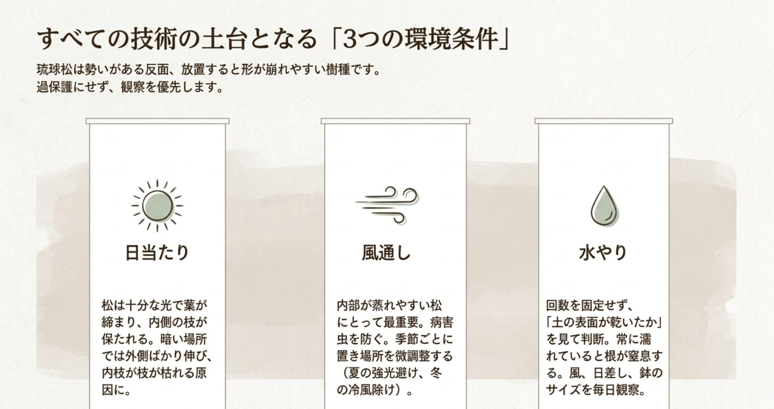 琉球松盆栽のすべての技術の土台となる3つの環境条件。日当たり、風通し、水やりの重要性と管理ポイントをまとめた表 。