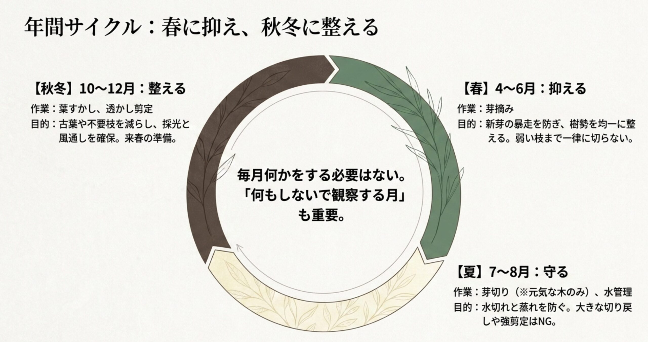 春に抑え、秋冬に整える琉球松盆栽の年間サイクル。春は芽摘み、夏は水管理、秋冬は剪定を行うスケジュールの図 。