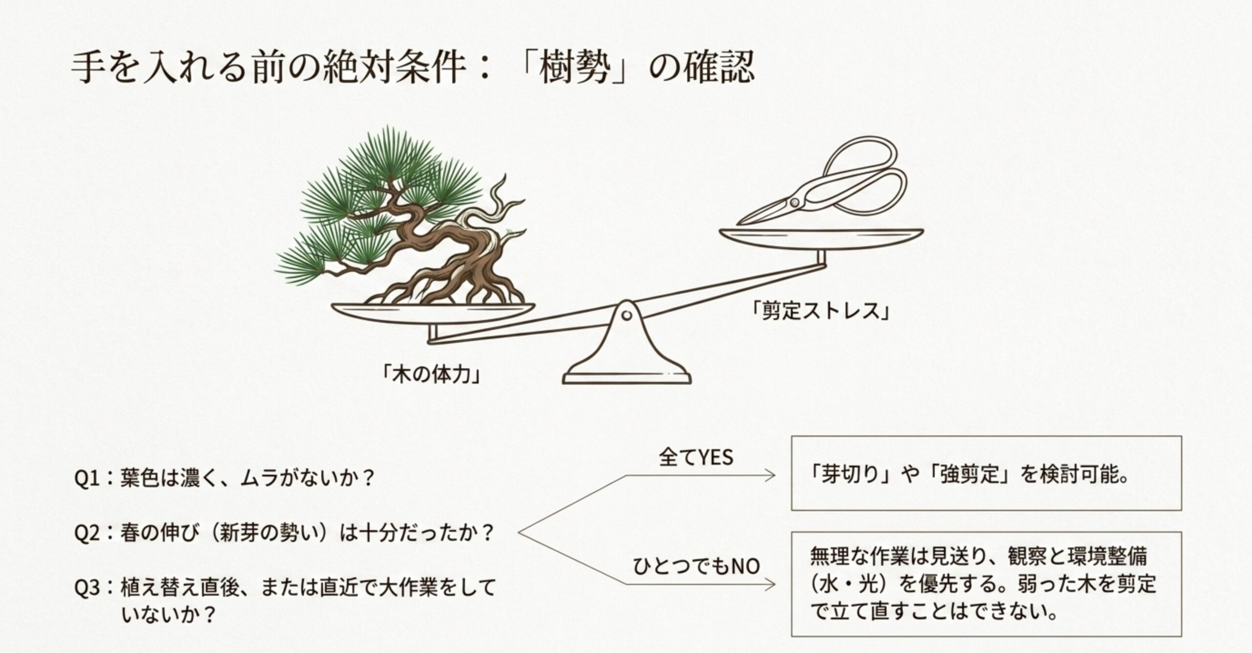 手を入れる前の絶対条件である樹勢の確認。木の体力と剪定ストレスのバランスを天秤で表したイラスト 。