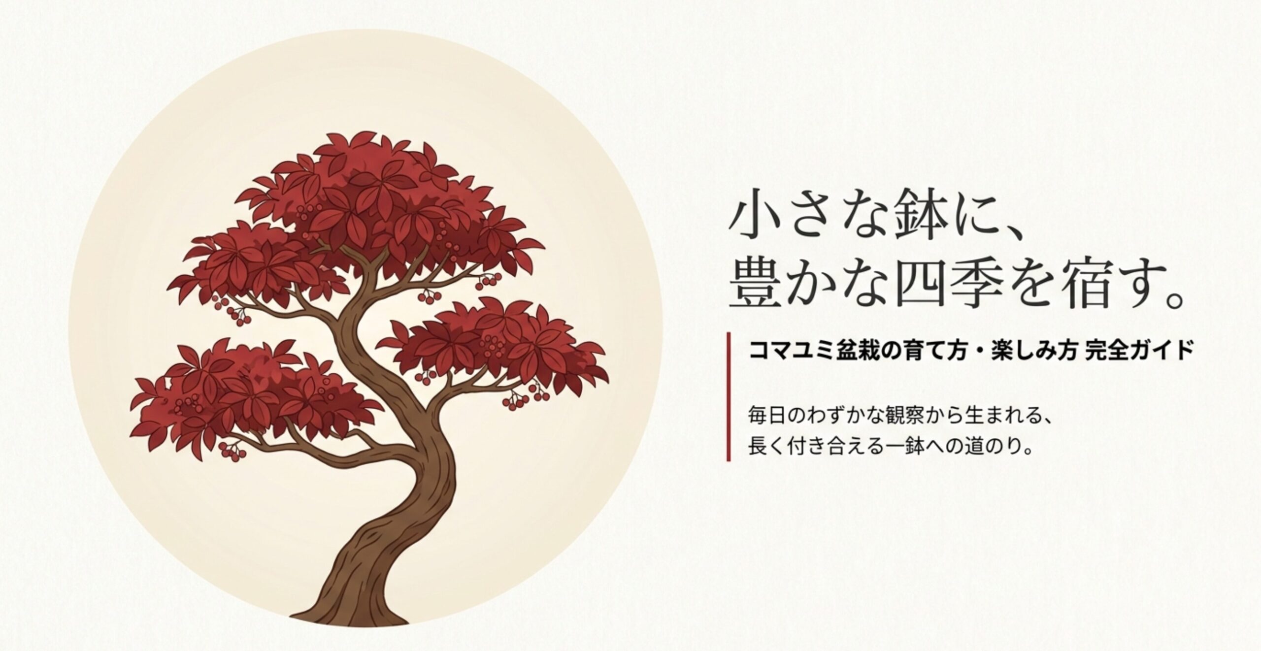 赤く紅葉したコマユミ盆栽のイラストと、育て方・楽しみ方完全ガイドのタイトルロゴ