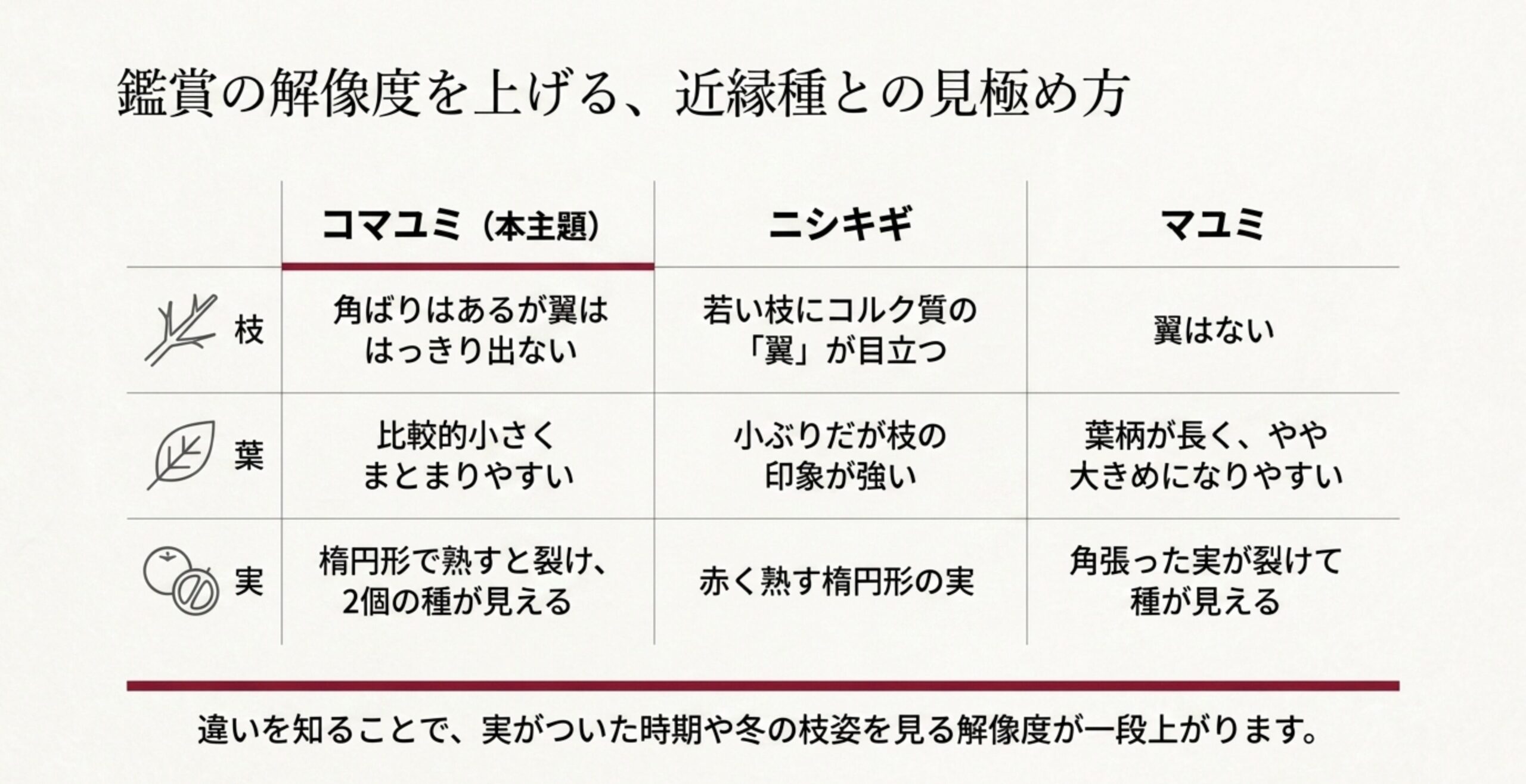 コマユミ、ニシキギ、マユミの若い枝、葉、実の特徴を比較した表