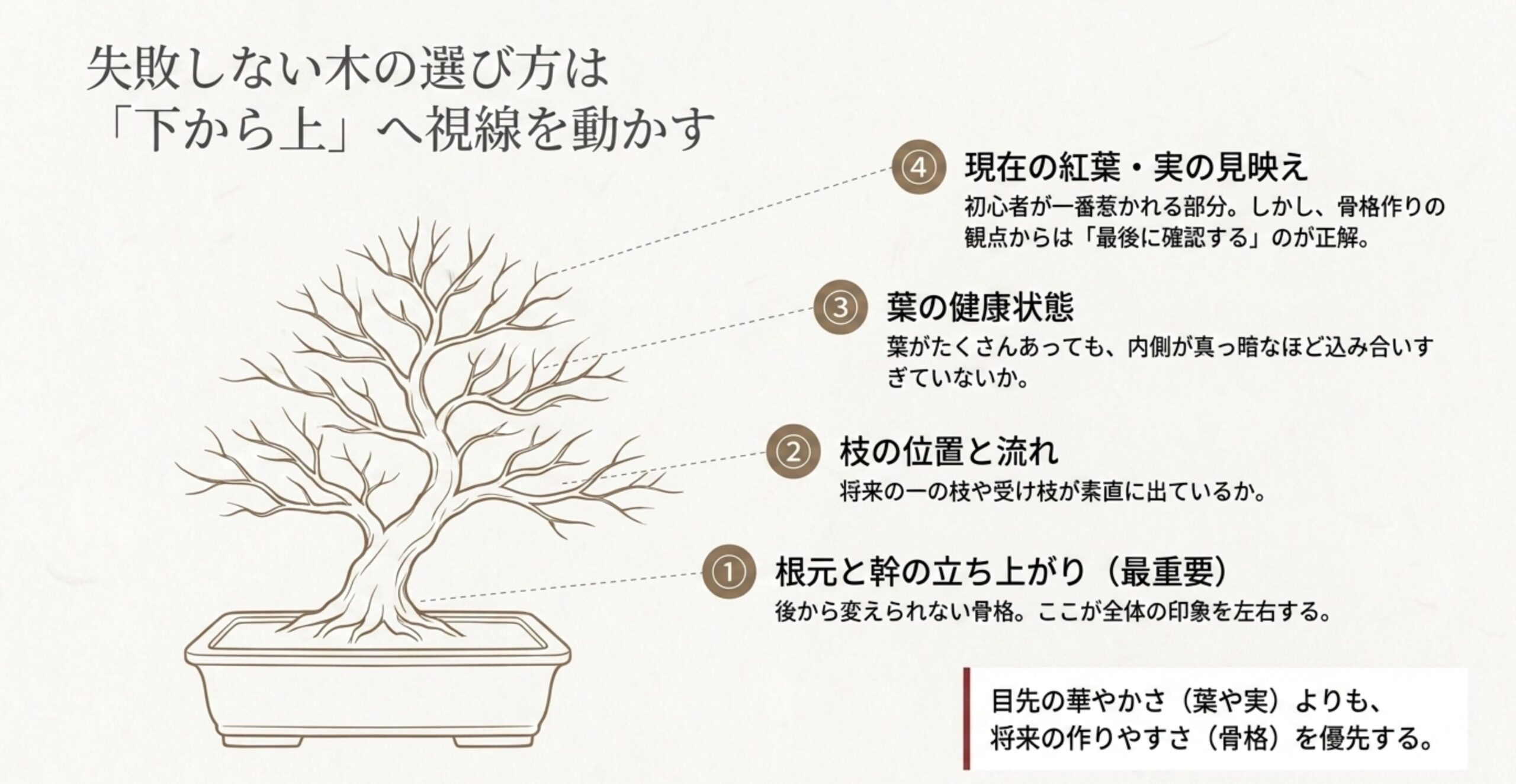 盆栽を選ぶ際は、見映えよりもまず根元と幹の立ち上がりを下から上へと確認することが重要だと示すイラスト解説