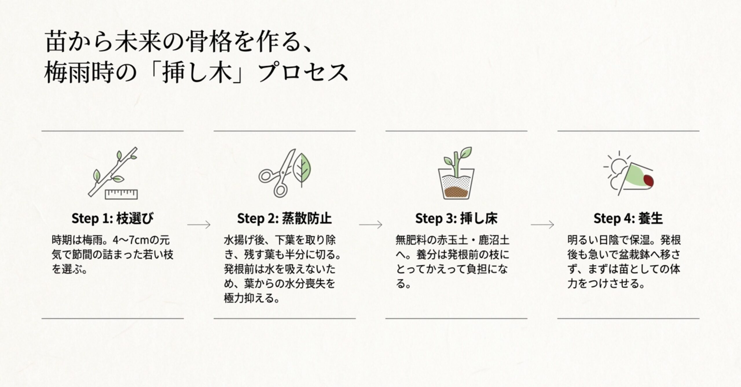 枝選び、下葉を取り除く蒸散防止、無肥料の土への挿し床、明るい日陰での養生という挿し木成功のための4ステップ図解