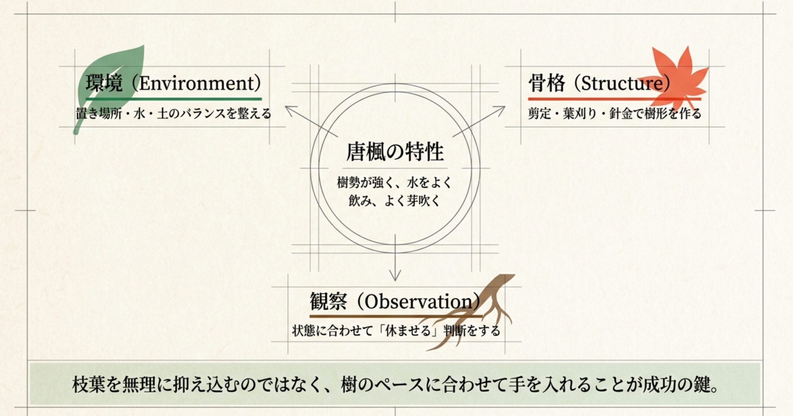 唐楓の特性（樹勢が強く、水をよく飲み、よく芽吹く）を中心に、環境、骨格、観察の3つの要素が循環していることを示した全体図。