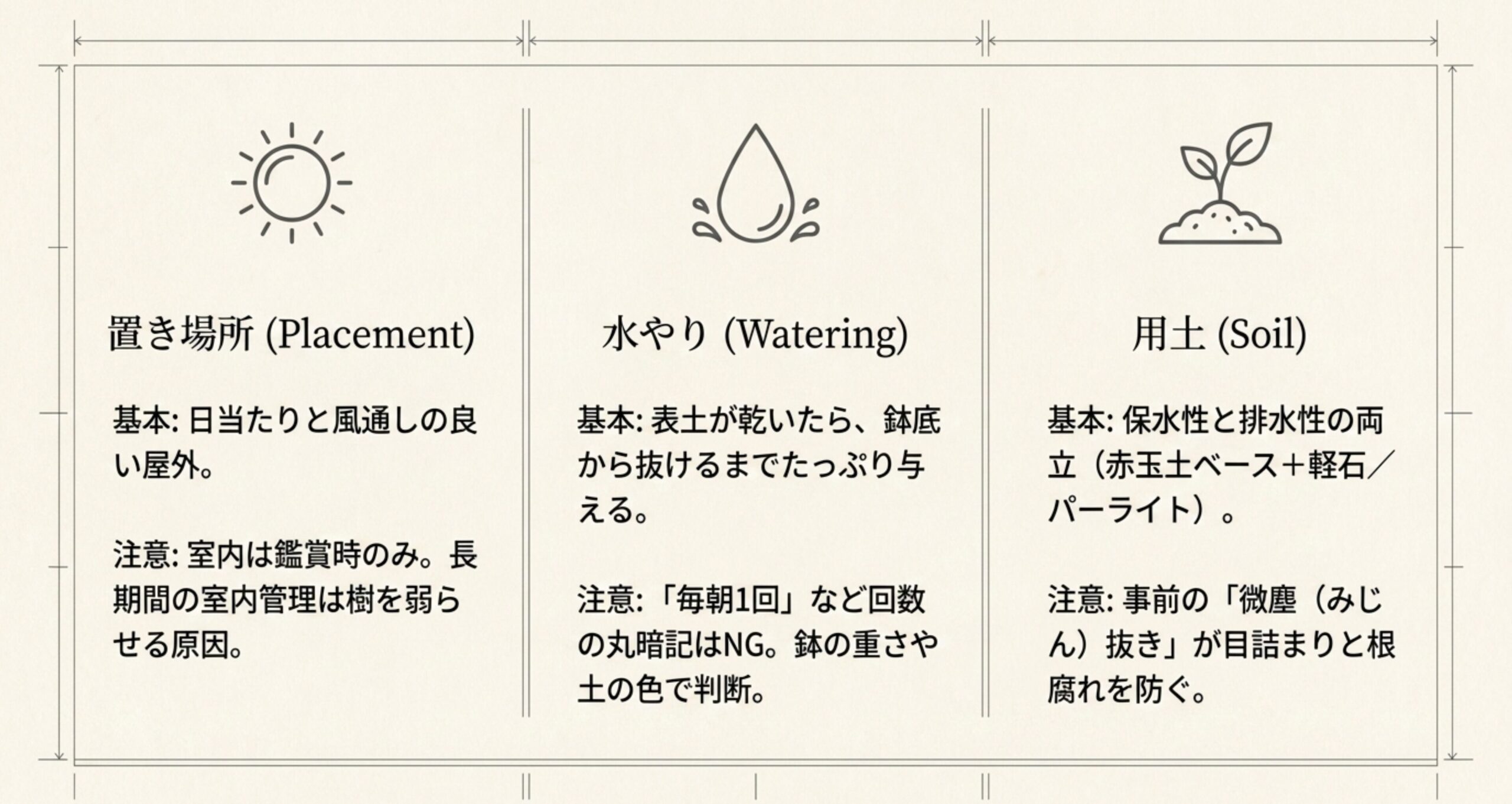 置き場所（日当たりと風通しのよい屋外）、水やり（表土が乾いたらたっぷり）、用土（保水性と排水性の両立）の基本と注意点をまとめた図。