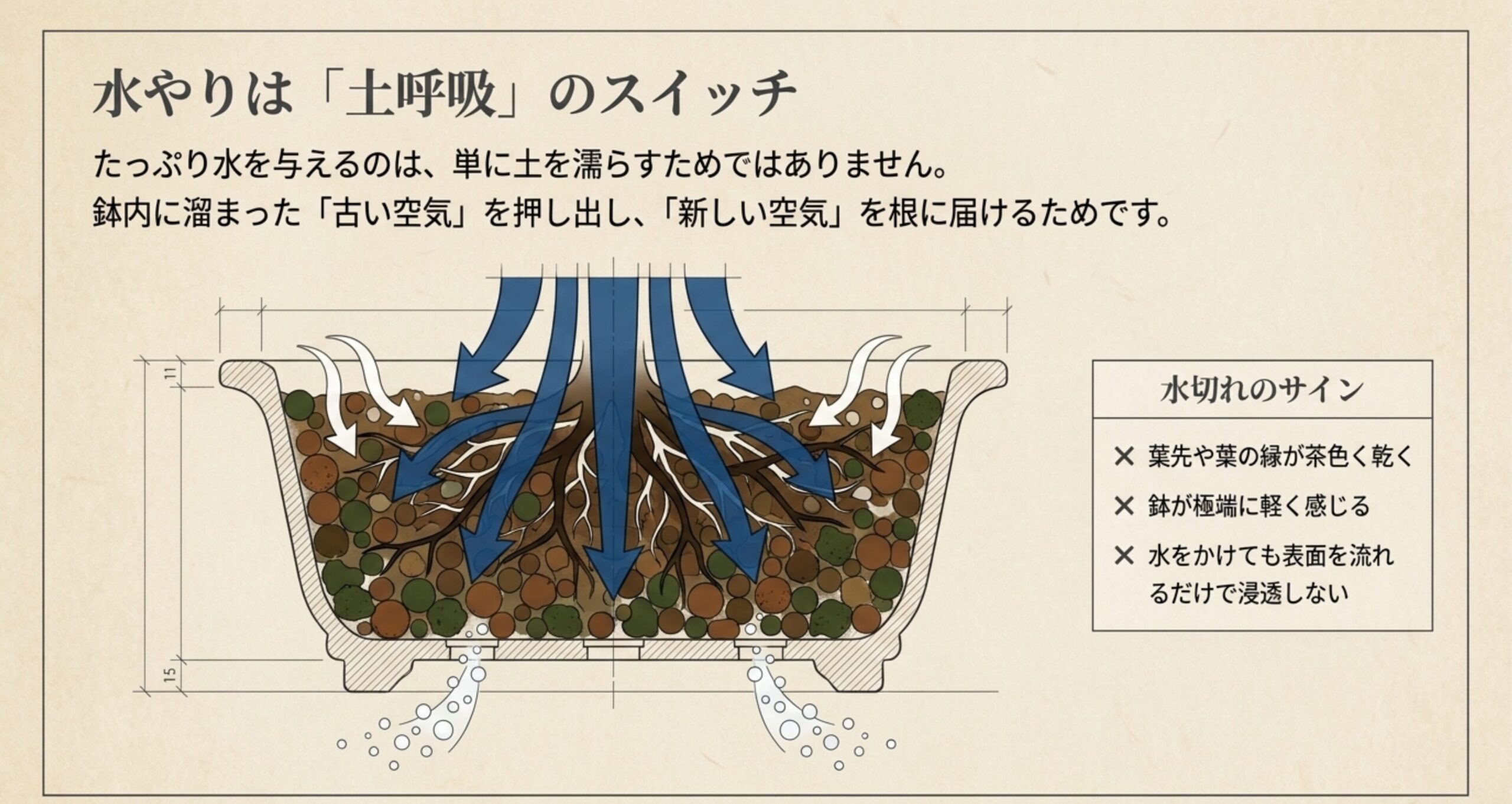 たっぷりの水やりによって鉢内の古い空気が押し出され、底穴から抜け、新しい空気が根に届く「土呼吸」の仕組みを表した断面図と水切れのサイン。