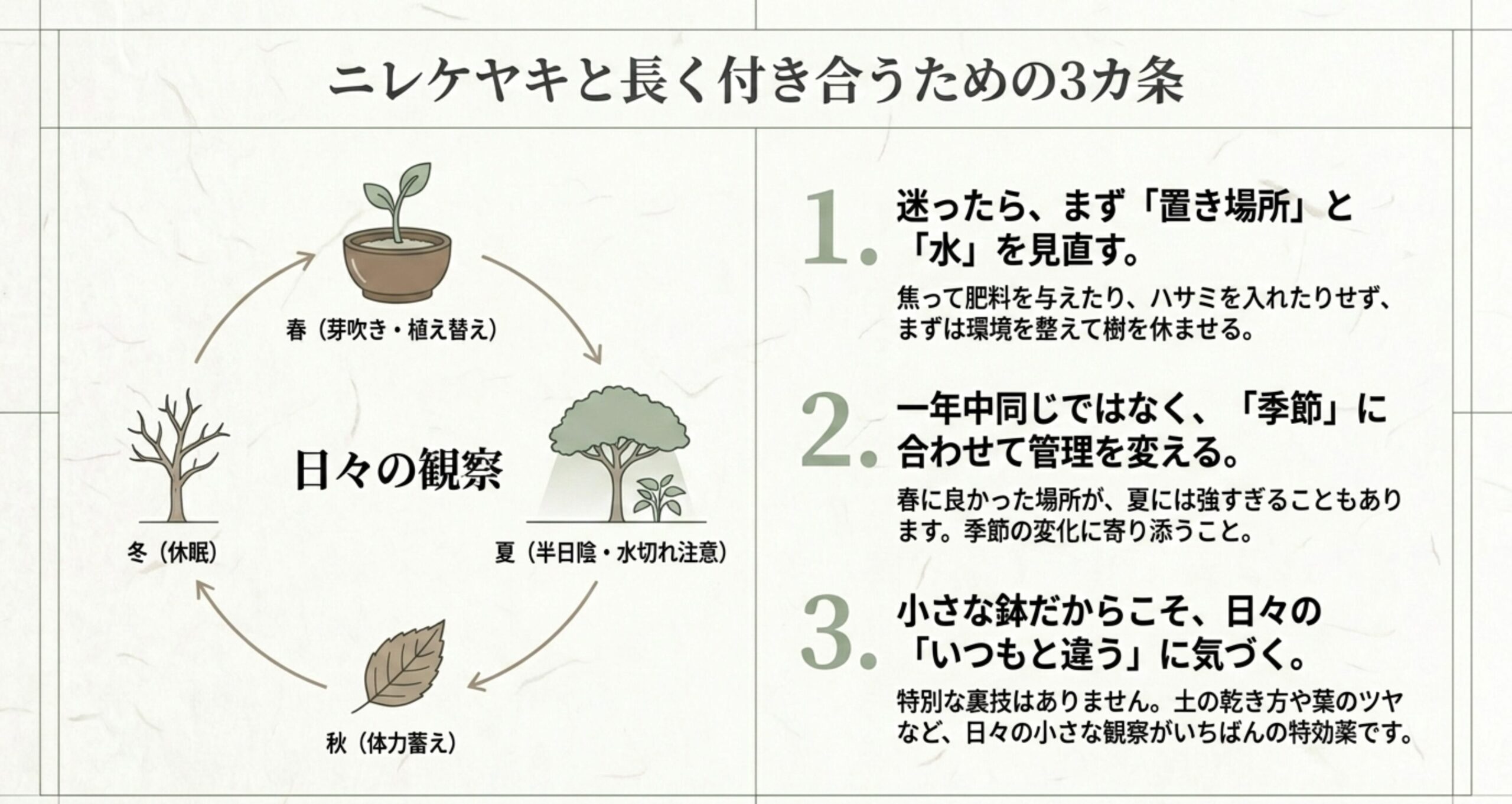 冷静な観察、季節に合わせた管理、日々の確認という、ニレケヤキ盆栽と長く付き合うための3カ条をまとめたスライド