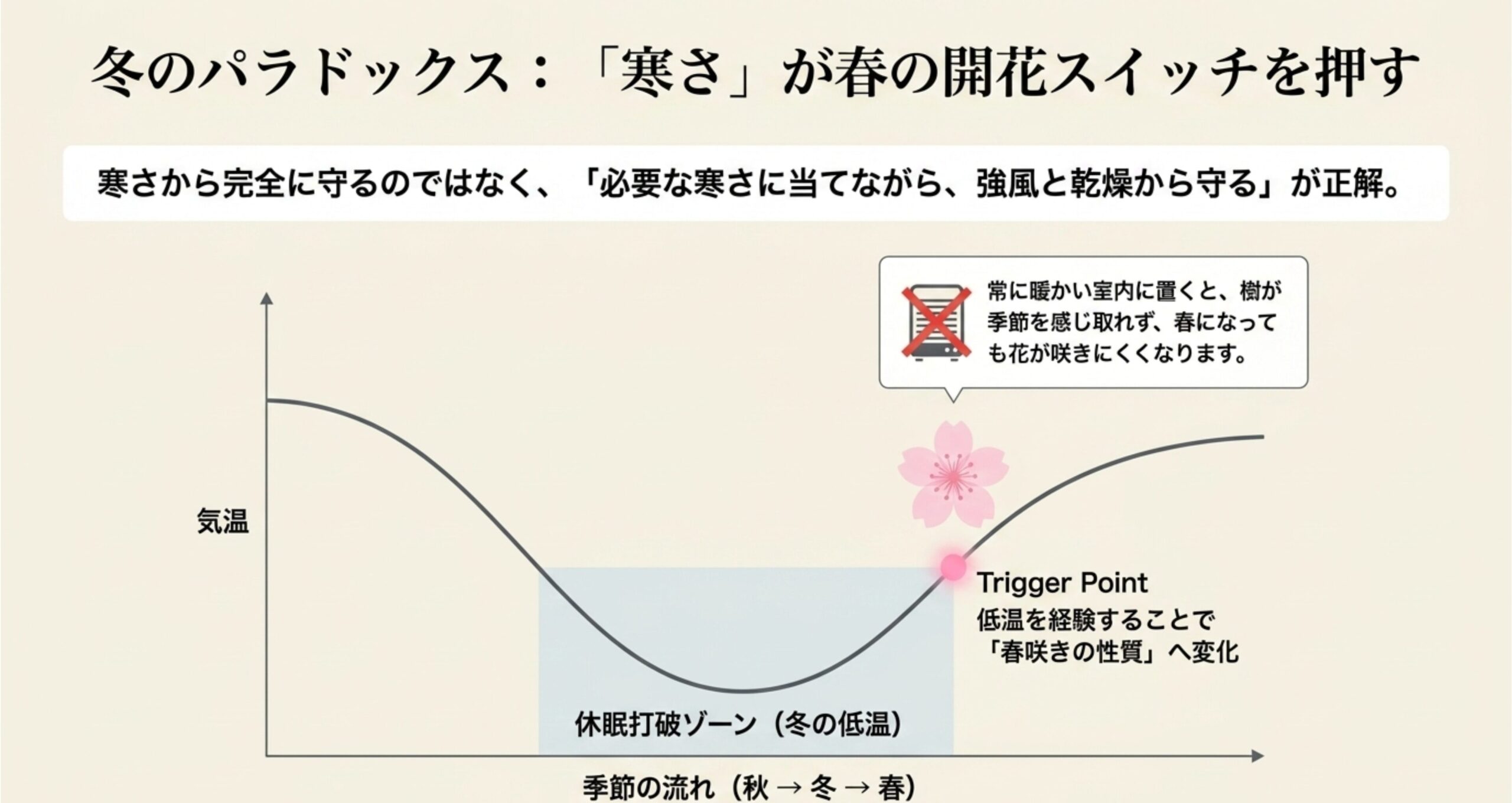 桜が冬の低温を経験することで春咲きの性質へ変化する「休眠打破」のメカニズムを示すグラフ