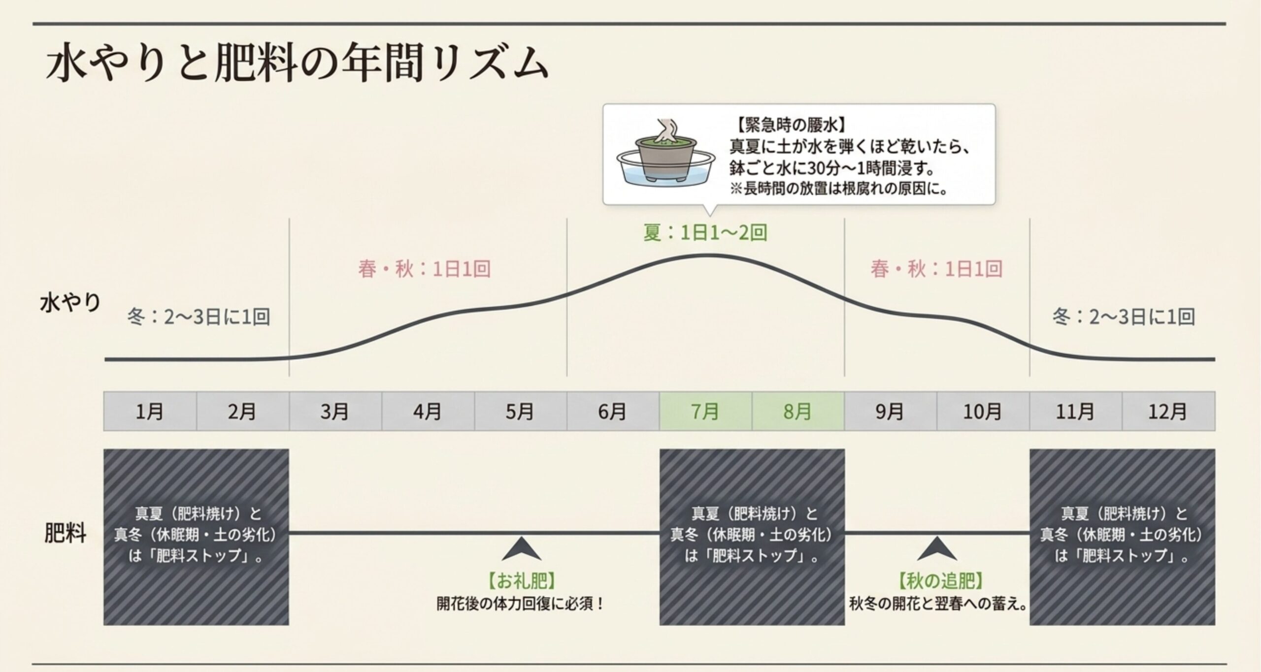 春から冬にかけての水やり頻度と、お礼肥・追肥を与えるタイミングを示す年間カレンダー