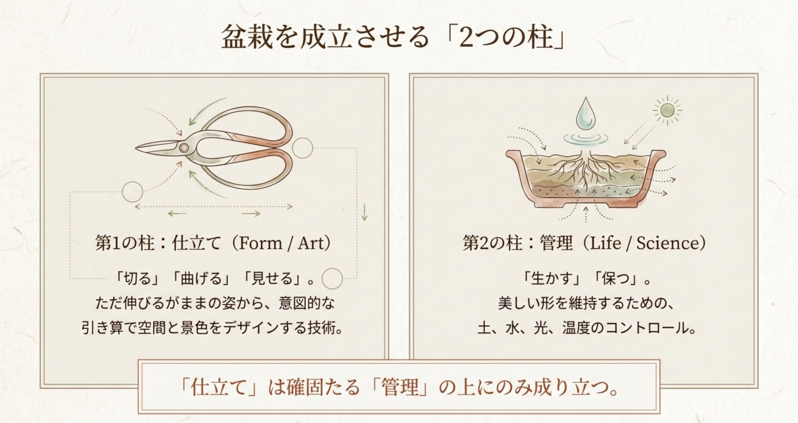 パキラ盆栽を成立させるための第1の柱「仕立て（切る・曲げる・見せる）」と、第2の柱「管理（生かす・保つ）」の概念図