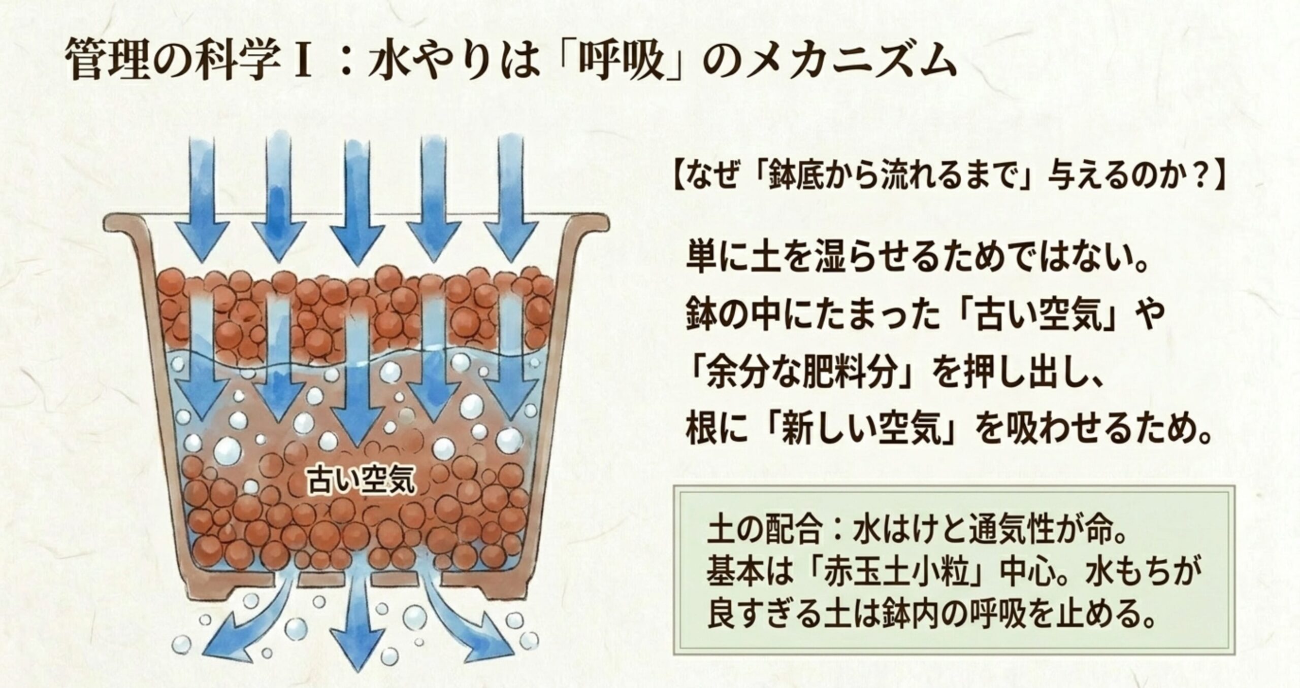鉢底から水が抜けることで土の中の古い空気が押し出され、上部から新しい空気が引き込まれる土壌呼吸の仕組みの図解