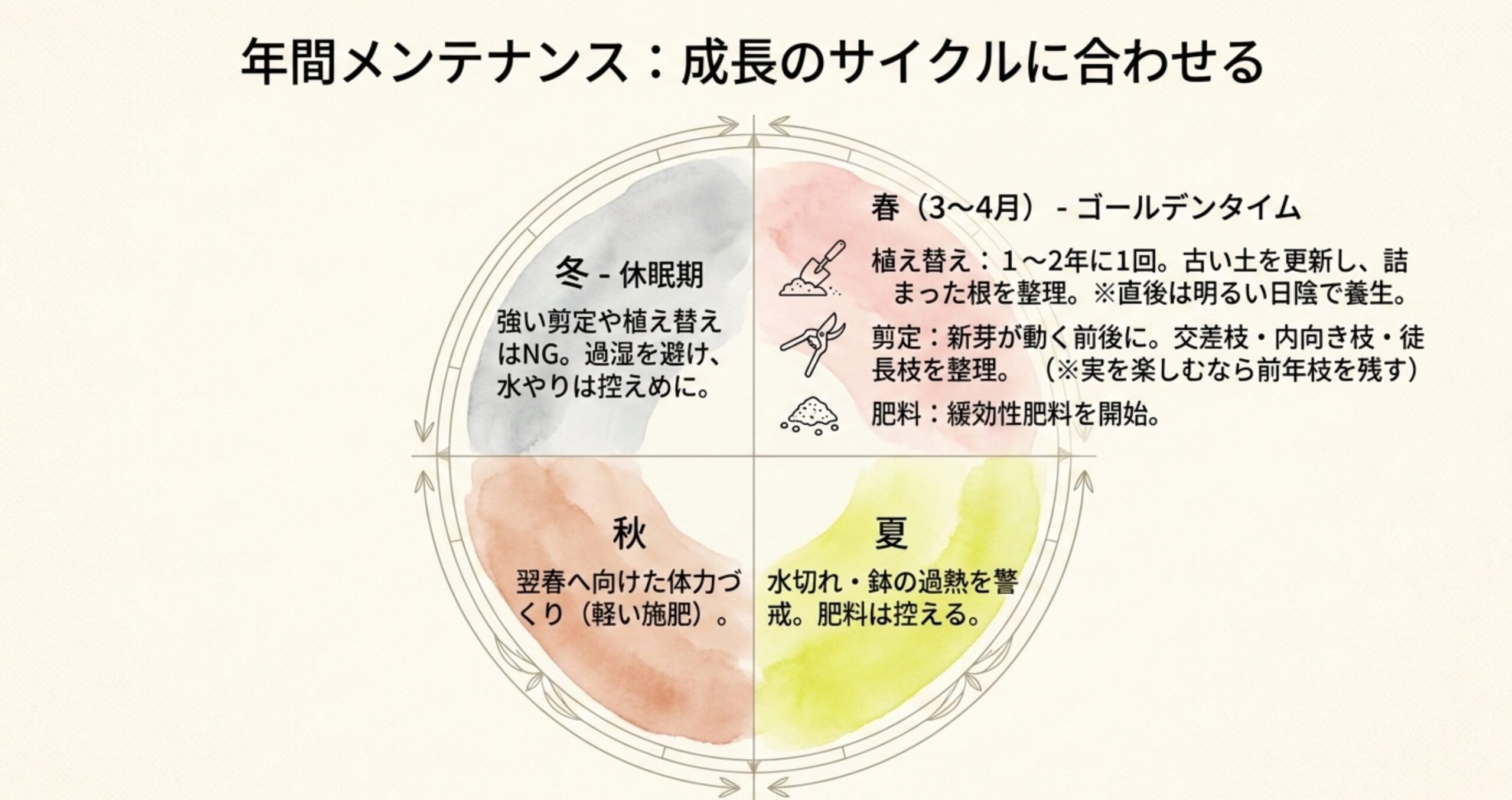 春の植え替え・剪定を軸に、夏・秋・冬の季節ごとの管理ポイントと注意点を四季のサイクルに合わせてまとめた円グラフ