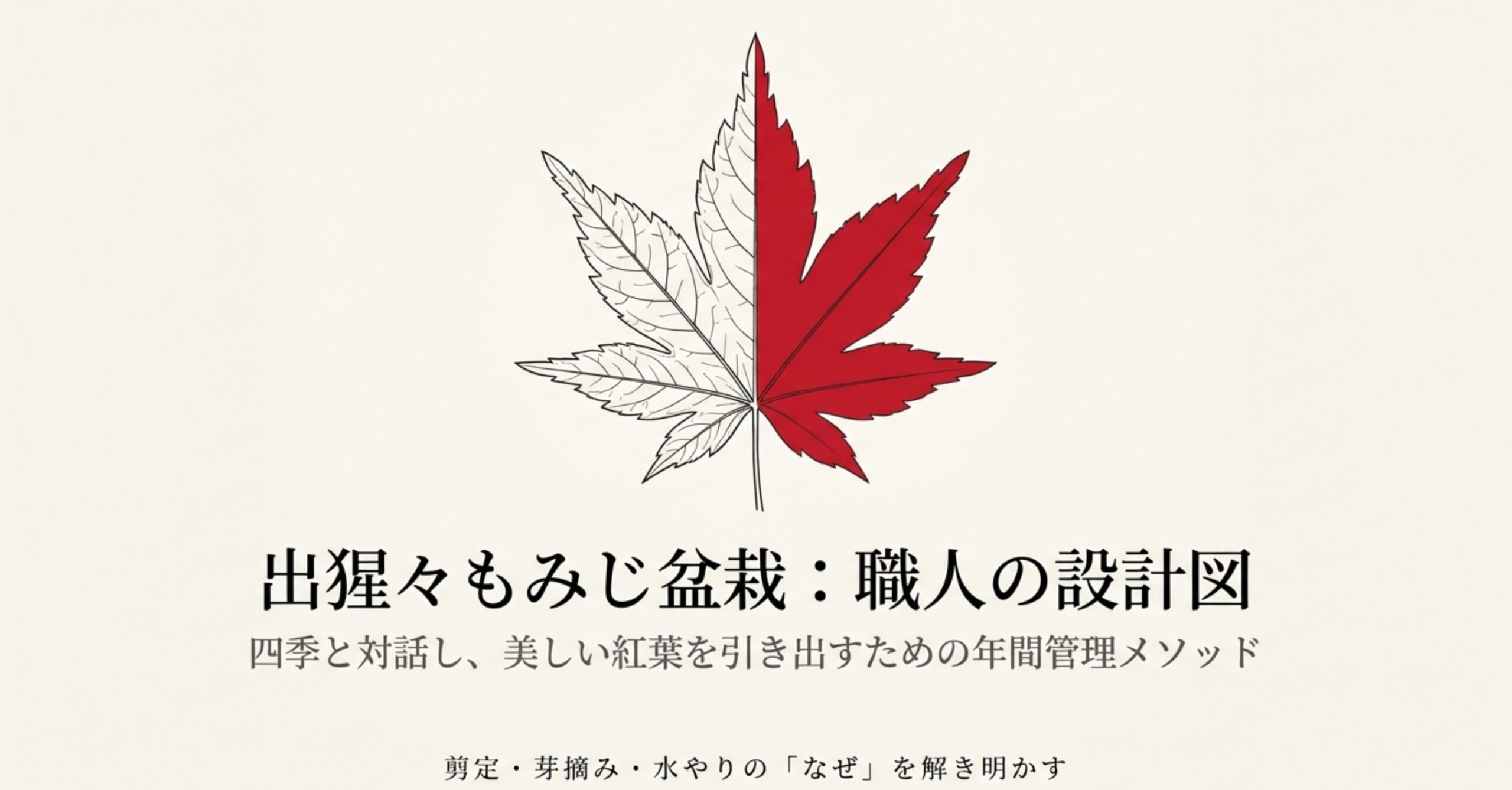 出猩々もみじ盆栽の年間管理メソッド。冬の骨格構築、春の樹勢制御、夏の光と風の調整、秋の紅葉という四季ごとの役割を図解。