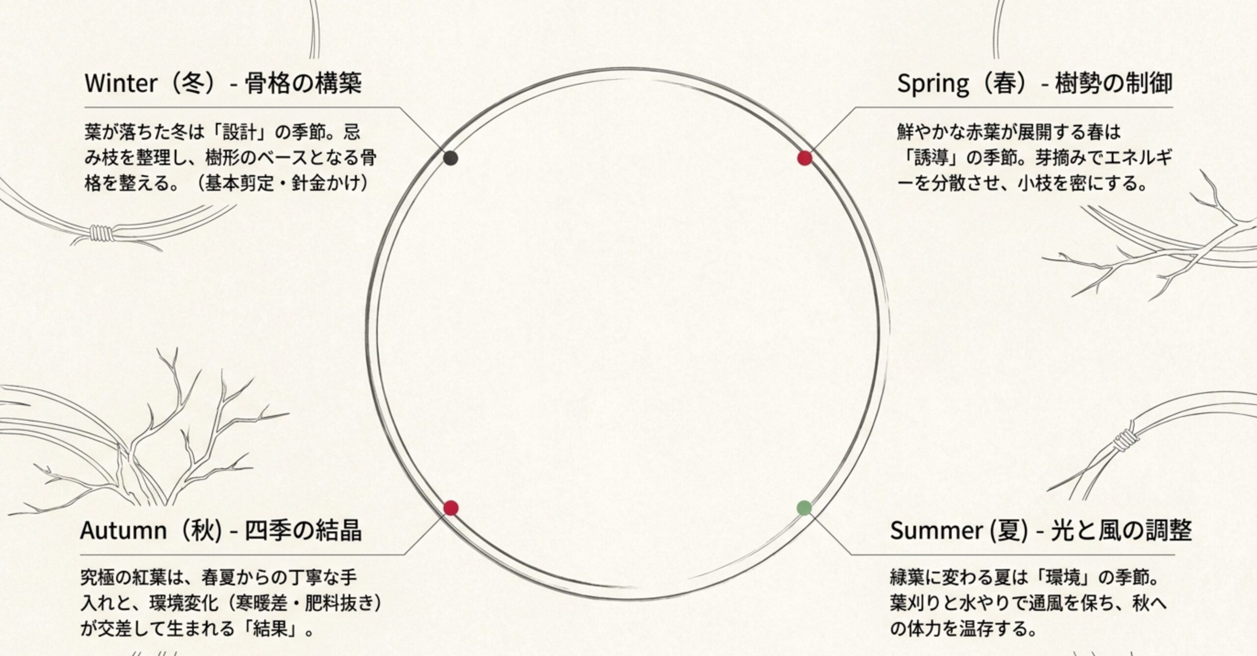 出猩々もみじ盆栽の月ごとの手入れカレンダー。冬の基本剪定、春の芽摘み、初夏の切り戻し・葉刈り、年間の水やりと肥料のタイミングを図解。