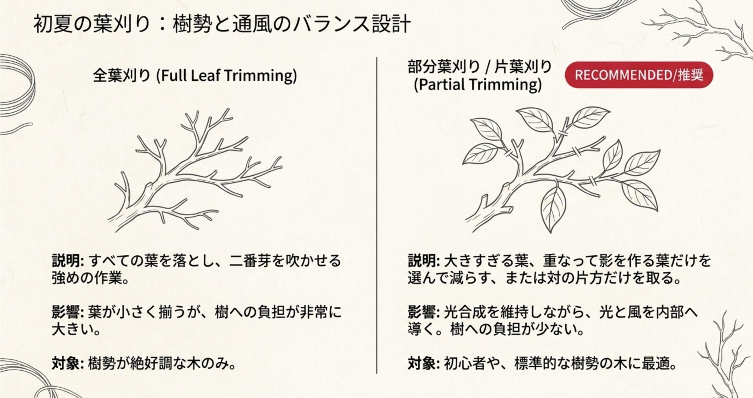 盆栽の葉刈りの種類。負担の大きい全葉刈りに対し、初心者や標準的な樹勢の木には通風を改善する部分葉刈りや片葉刈りを推奨する図。