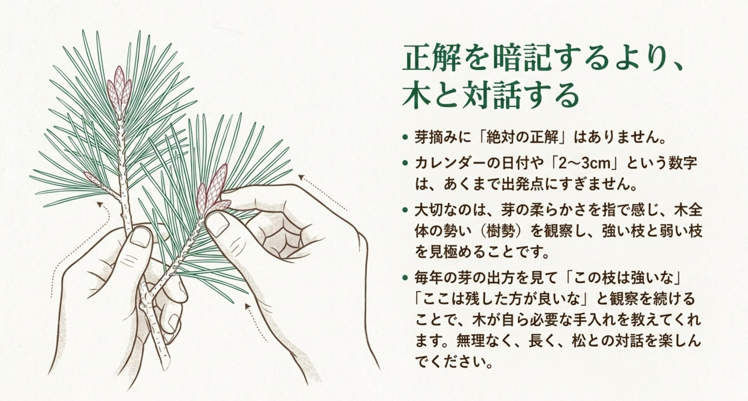 松盆栽の手入れにおいて絶対の正解を暗記するのではなく、木全体の勢いや新芽の柔らかさを観察し対話することの重要性を説いたまとめのスライド