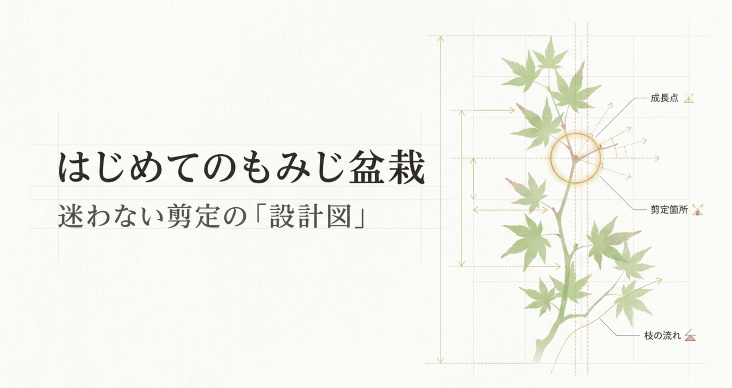 剪定前後のもみじ盆栽を比較したイラスト。剪定前の葉が密集して光や風が通らない状態に赤い×印がついており、剪定後はフトコロまで光と風が通り抜ける様子が描かれている。