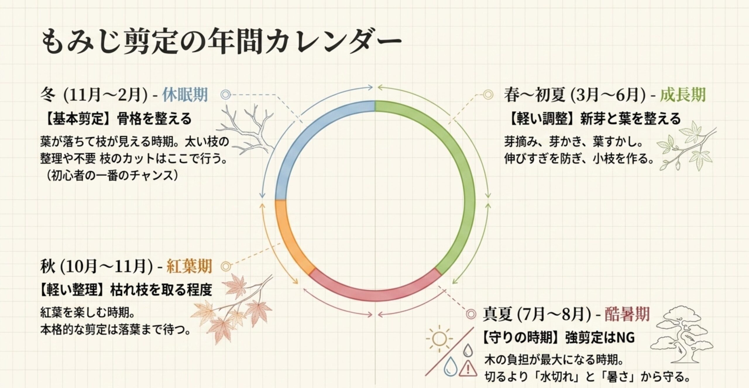 もみじ盆栽の年間作業カレンダーの図解。冬は骨格を整える基本剪定、春〜初夏は新芽と葉を整える軽い調整、真夏は強剪定NGの守りの時期、秋は枯れ枝を取る程度の軽い整理という、季節ごとの役割が円グラフで示されている。