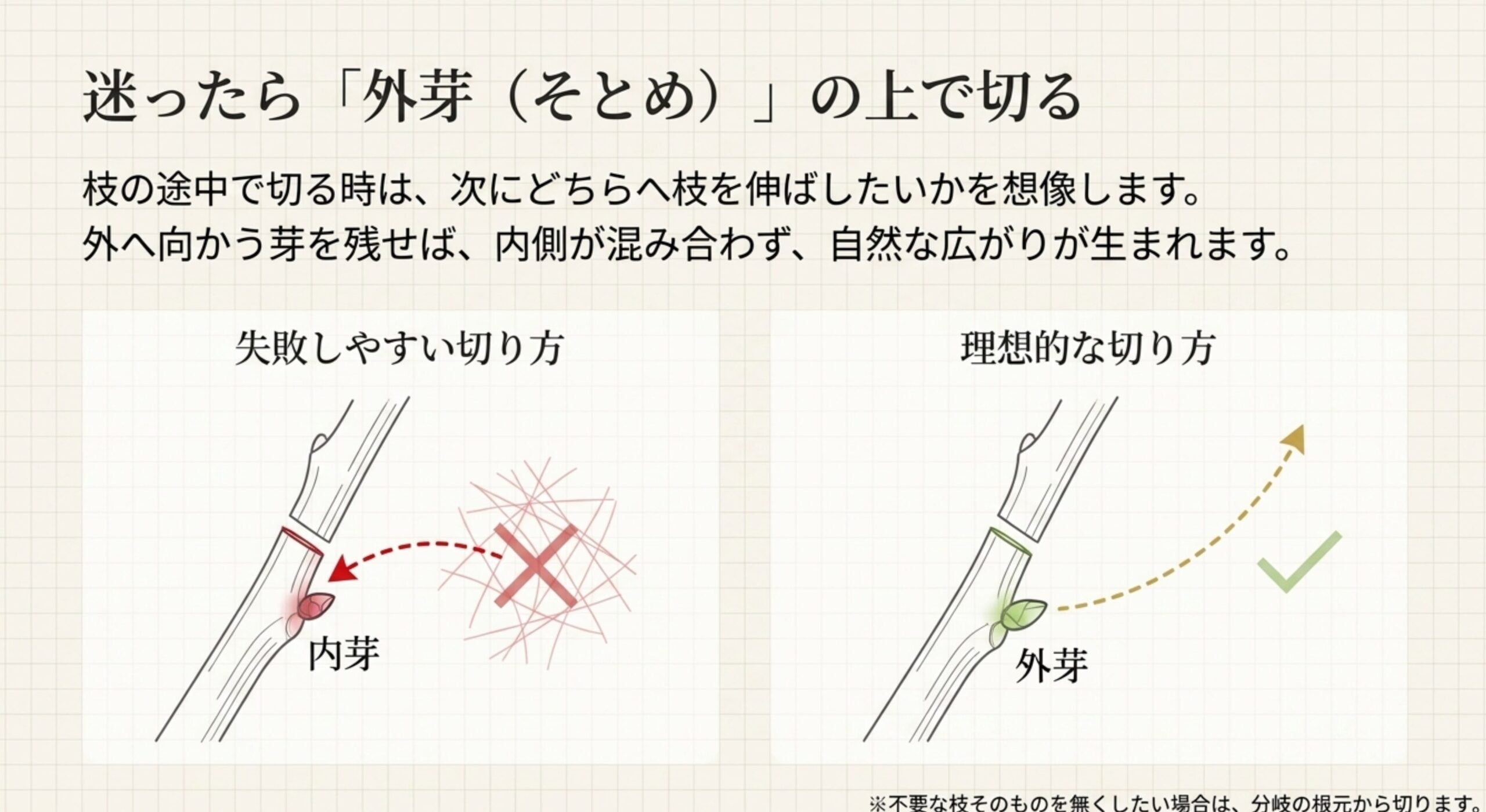 枝の切り方を解説した図。内芽を残して切ると枝が混み合って失敗しやすい様子と、外芽のすぐ上で切ると枝が外側へ自然に広がっていく理想的な切り方が比較されている。