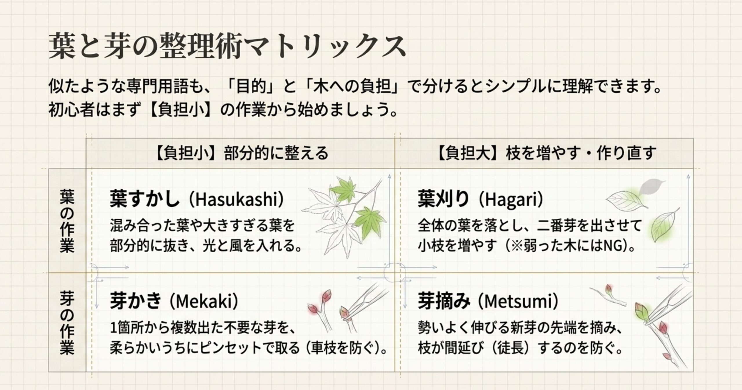 葉すかし、葉刈り、芽かき、芽摘みの4つの作業を整理したマトリックス図。木への「負担小」として葉すかしと芽かき、「負担大」として葉刈りと芽摘みが分類され、それぞれの目的が簡潔にまとめられている。