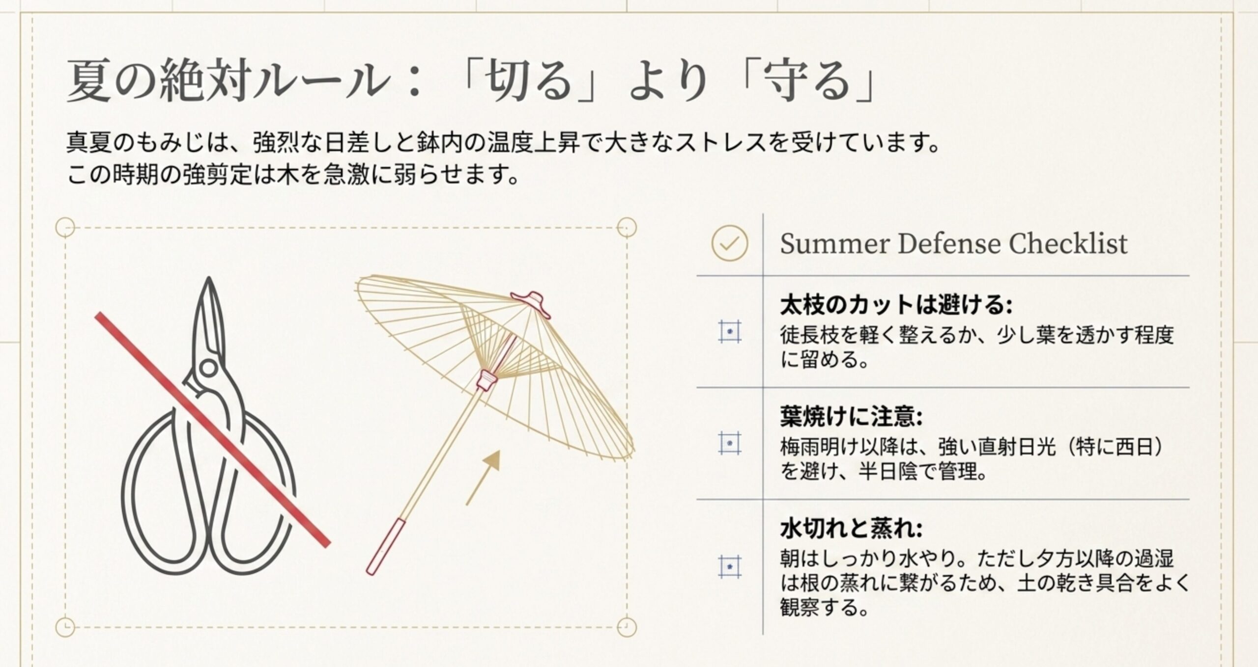 剪定後のケアの繋がりを示す図。「剪定と風通し」「根と植え替え」「水と肥料」の3つの要素が互いに影響し合うエコシステムとして描かれ、バランスを見て回復させる重要性が記載されている。