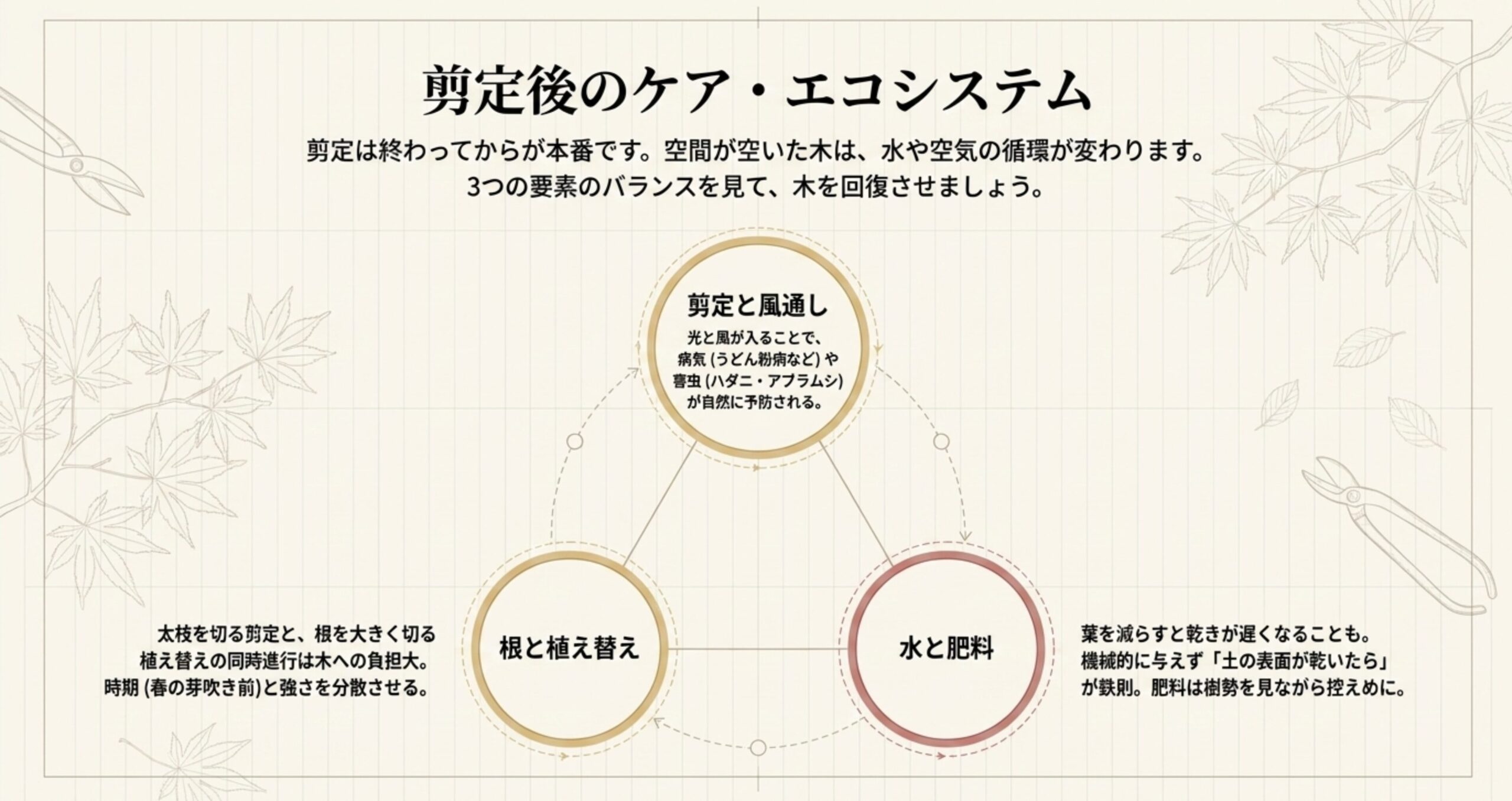 夏の盆栽管理ルールを示した図。ハサミに赤い×印がつけられ、代わりに日傘のイラストが描かれている。太枝のカットを避ける、葉焼けに注意する、水切れと蒸れに注意するといったサマーディフェンスチェックリストがまとめられている。