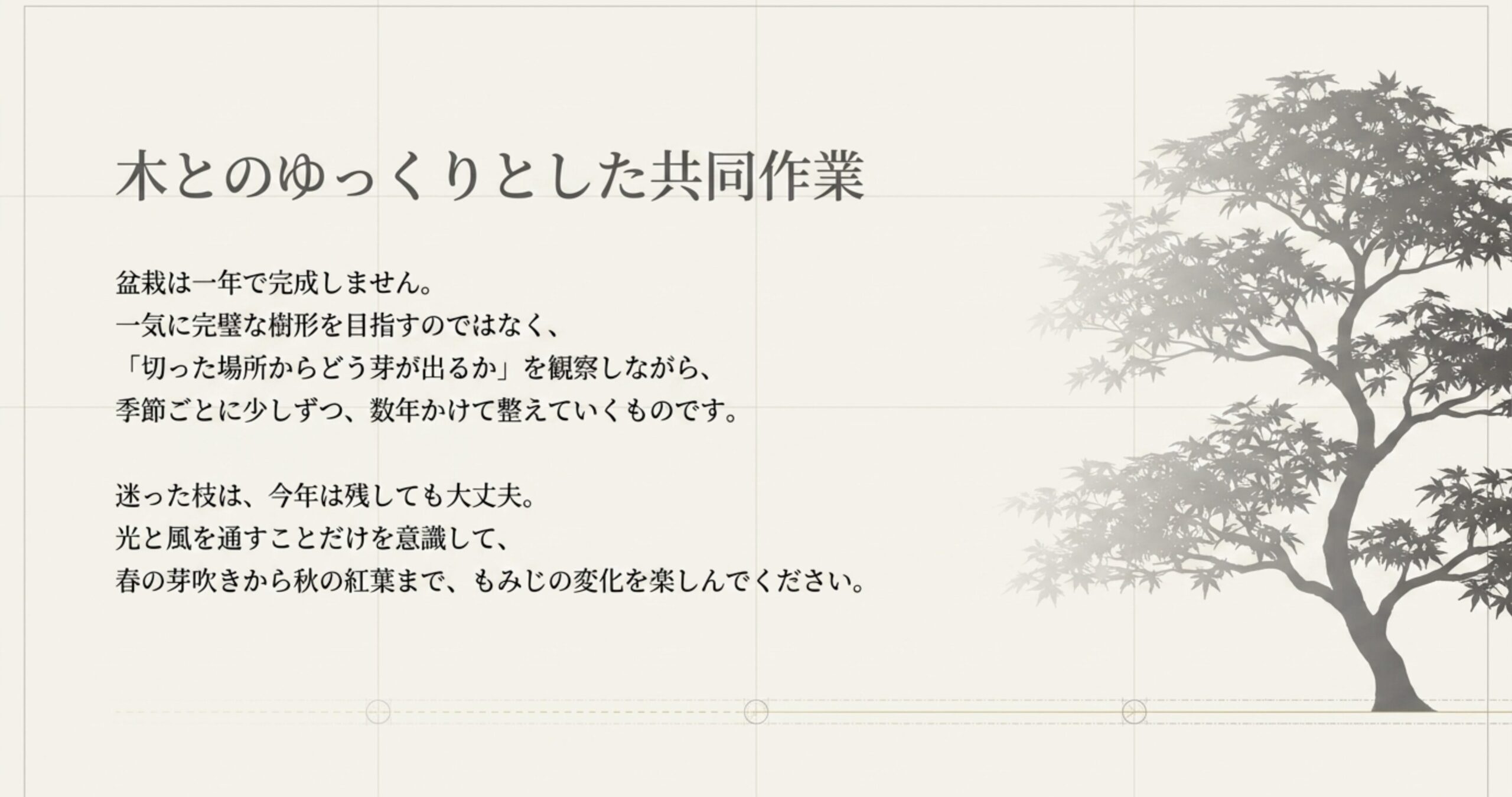 「木とのゆっくりとした共同作業」というメッセージ画像。盆栽は一気に完璧な樹形を目指すのではなく、光と風を通すことを意識しながら季節ごとに少しずつ整えていくものであるという、もみじの変化を楽しむための言葉が書かれている。