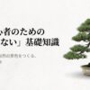 盆栽初心者のための基礎知識タイトル画像。小さな鉢の中に自然の景色をつくる和盆日和の第一歩。