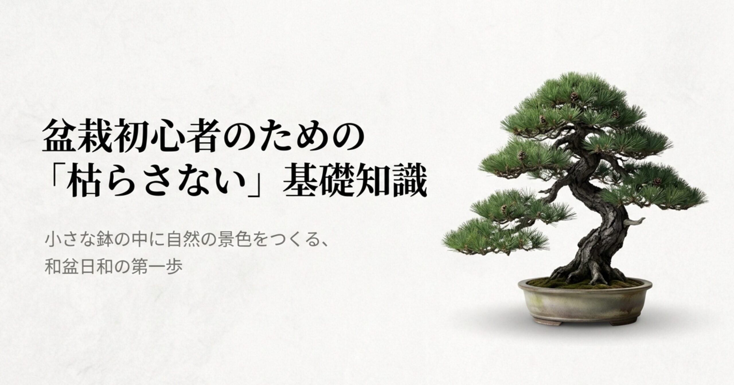 盆栽初心者のための基礎知識タイトル画像。小さな鉢の中に自然の景色をつくる和盆日和の第一歩。