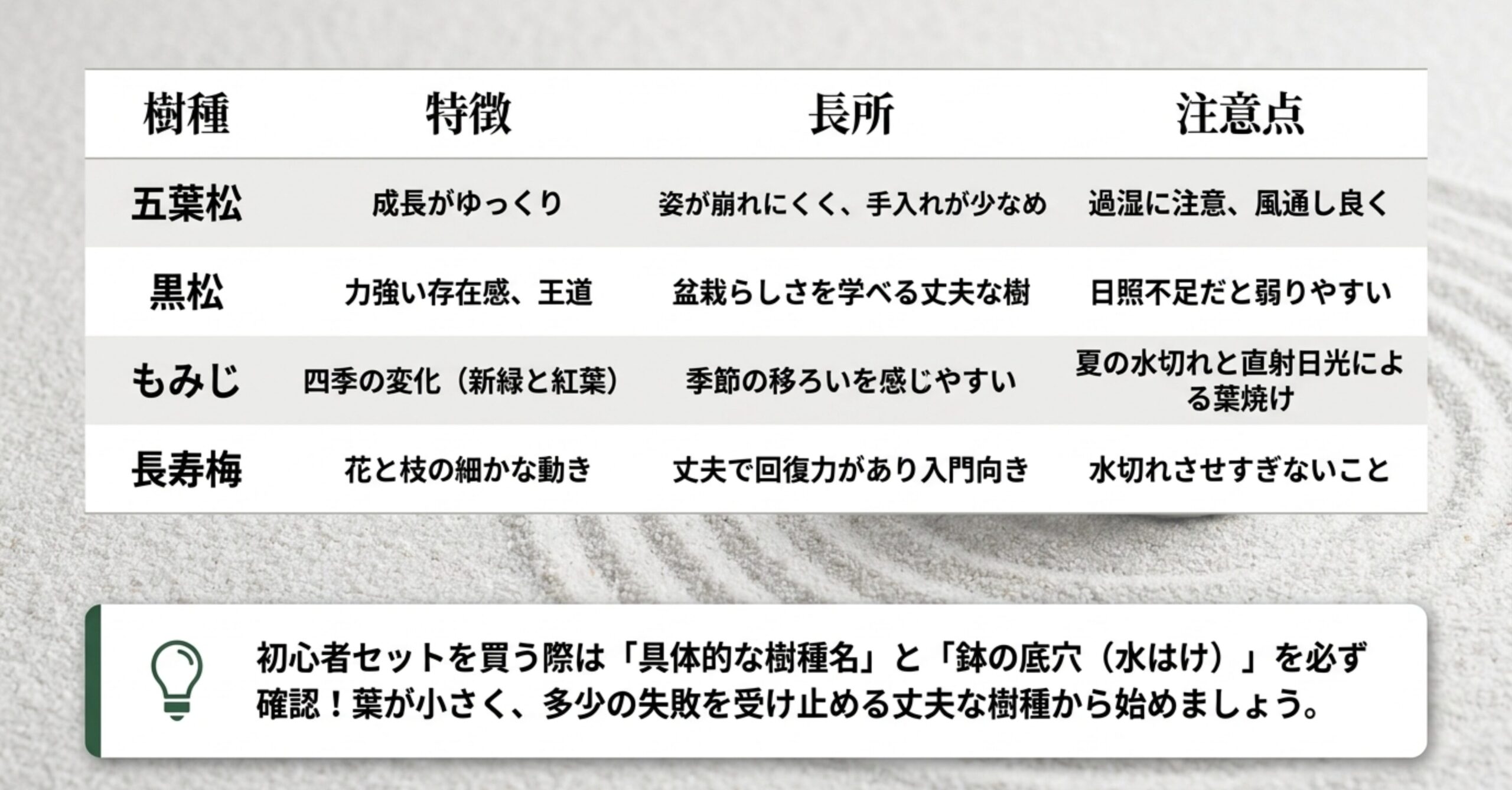 初心者におすすめの盆栽樹種（五葉松、黒松、もみじ、長寿梅）の特徴と注意点、長所をまとめた一覧図解。