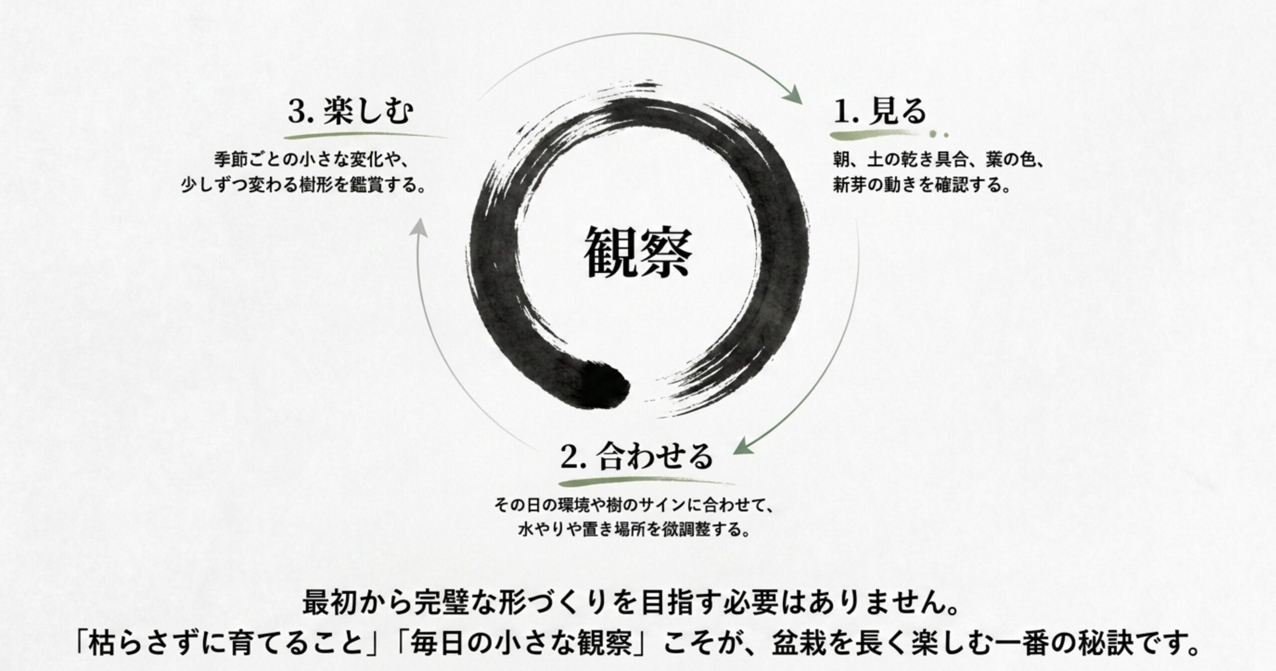 盆栽を長く楽しむための秘訣として、「見る」「合わせる」「楽しむ」という日々の観察の循環サイクルを表した図解。
