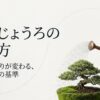 盆栽じょうろの選び方を示すタイトル画像。「毎日の水やりが変わる、基本と3つの基準」というテキストが書かれています。