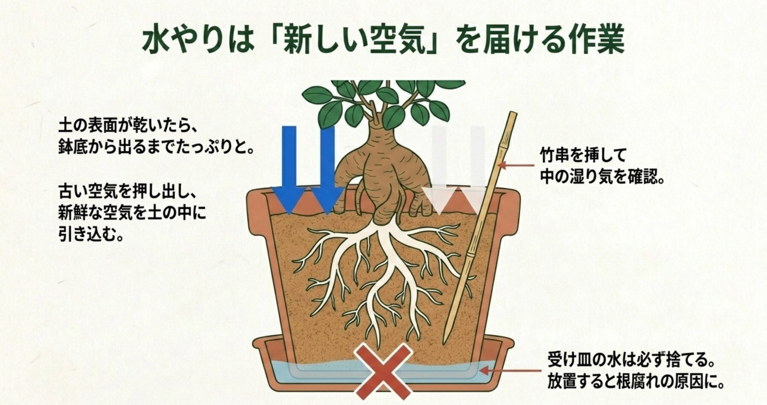 水やりは新しい空気を土の中に引き込み古い空気を押し出す作業であることと、受け皿に水をためると根腐れになるNG例を示した図