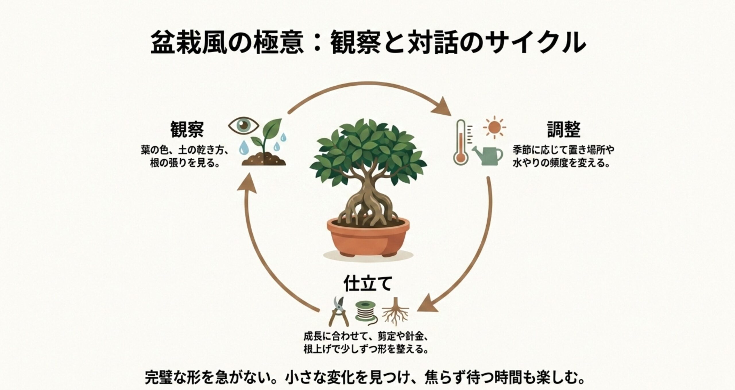葉の色や土を観察し、季節に応じて置き場所や水やりを調整し、成長に合わせて剪定や根上げで仕立てるという、焦らず変化を楽しむためのサイクル図