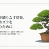 葉が細かく茂ったチリメンカズラの盆栽のイラストと、基礎環境の整備から樹形をつくる剪定まで長く楽しむための実践ガイドというタイトル文 。