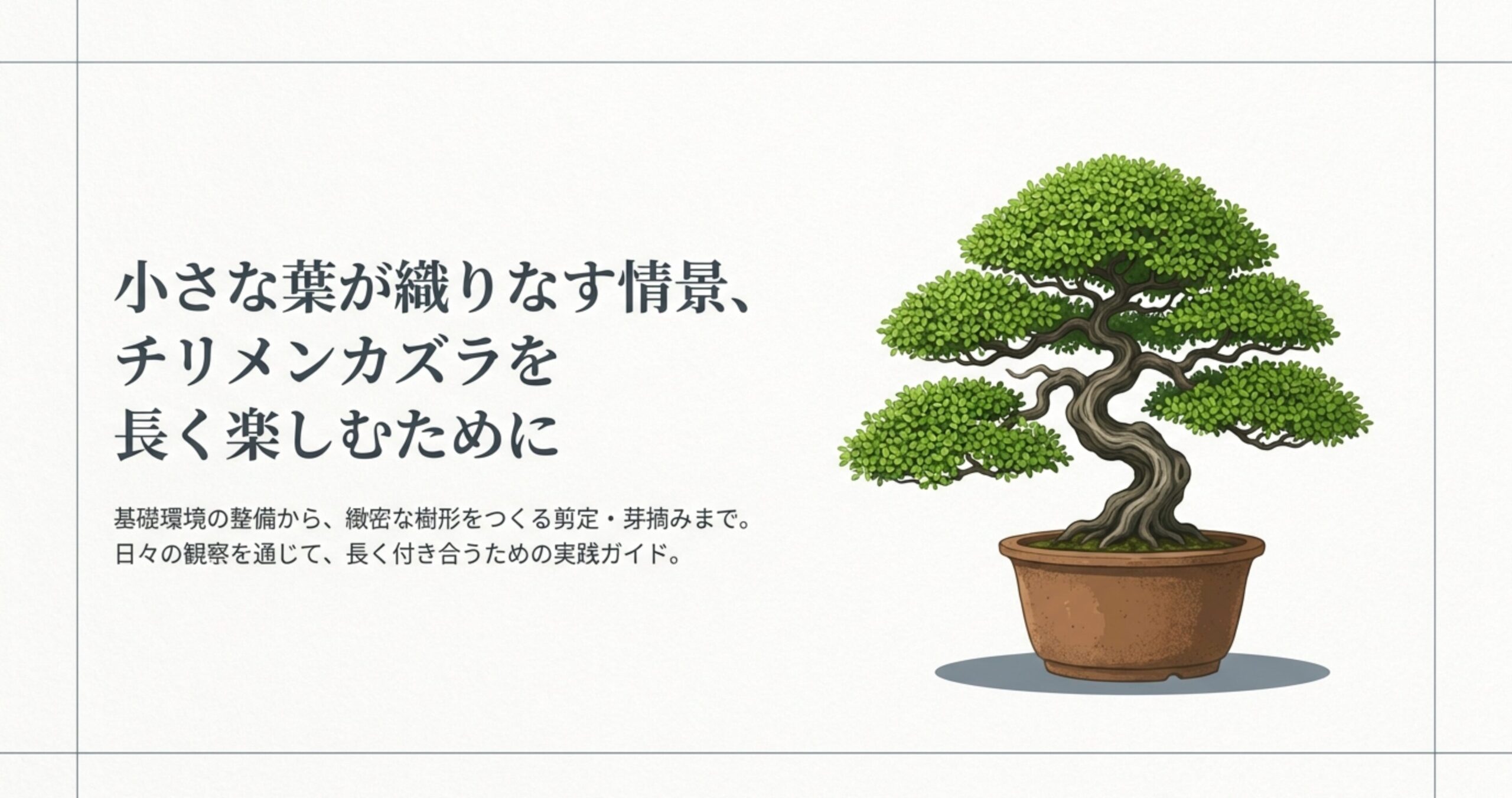 葉が細かく茂ったチリメンカズラの盆栽のイラストと、基礎環境の整備から樹形をつくる剪定まで長く楽しむための実践ガイドというタイトル文 。