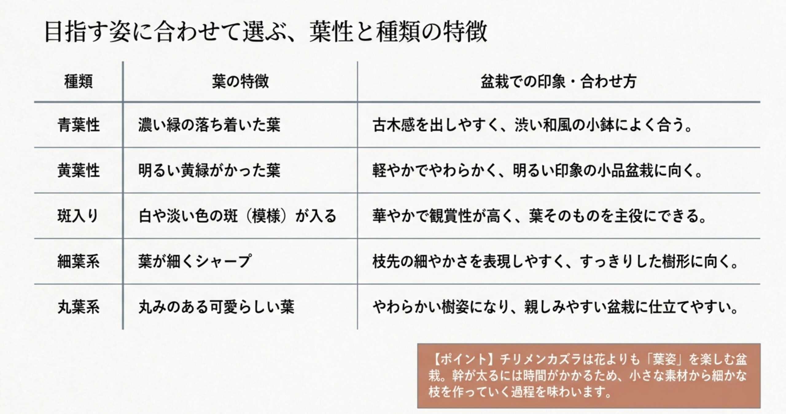 青葉性、黄葉性、斑入り、細葉系、丸葉系など、チリメンカズラの種類ごとの葉の特徴と盆栽での印象をまとめた表 。