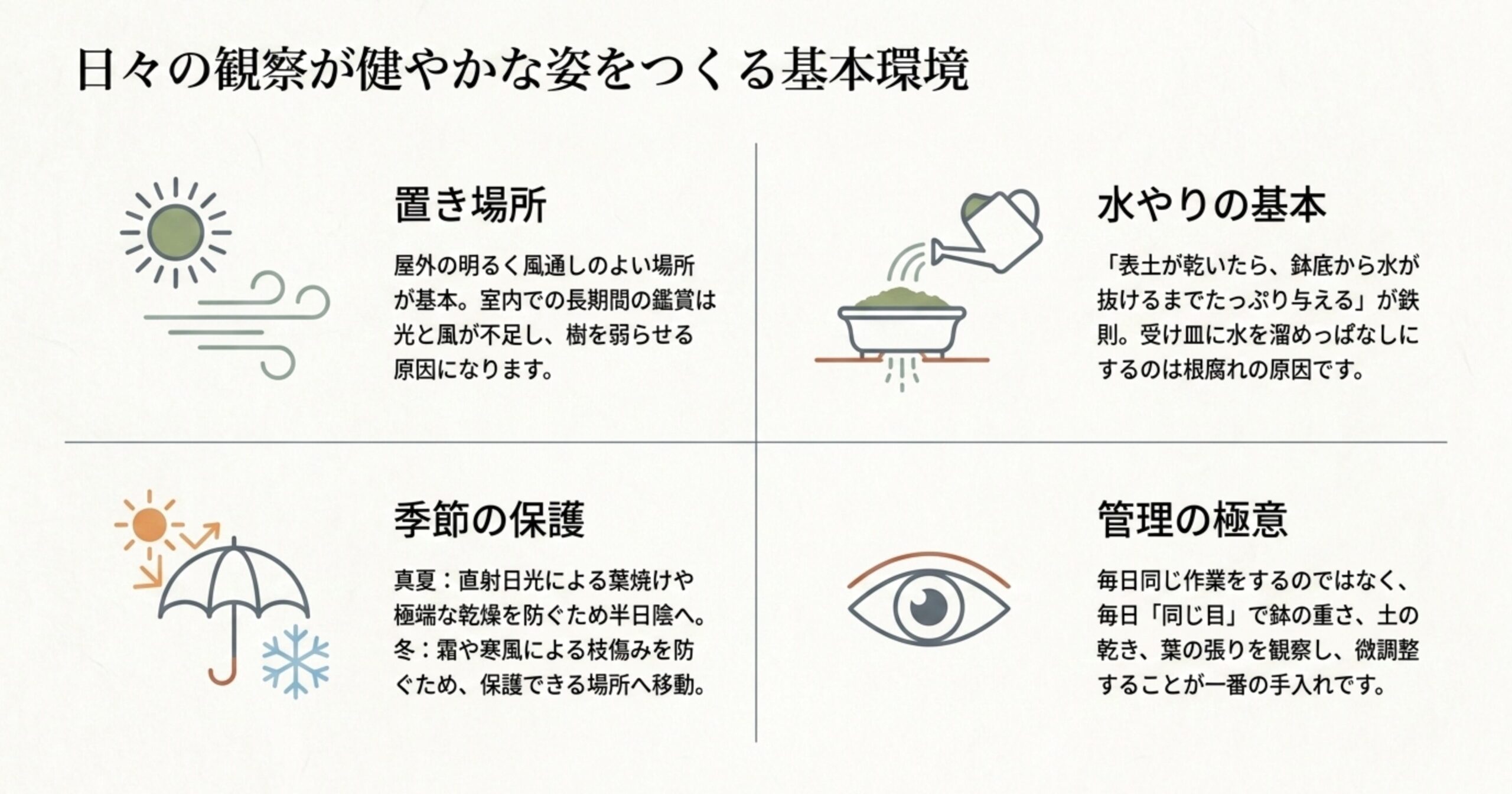 日照、風、水やりのアイコンとともに、屋外の明るく風通しのよい場所が基本であることや、水やり・季節の保護の極意を解説した画像 。