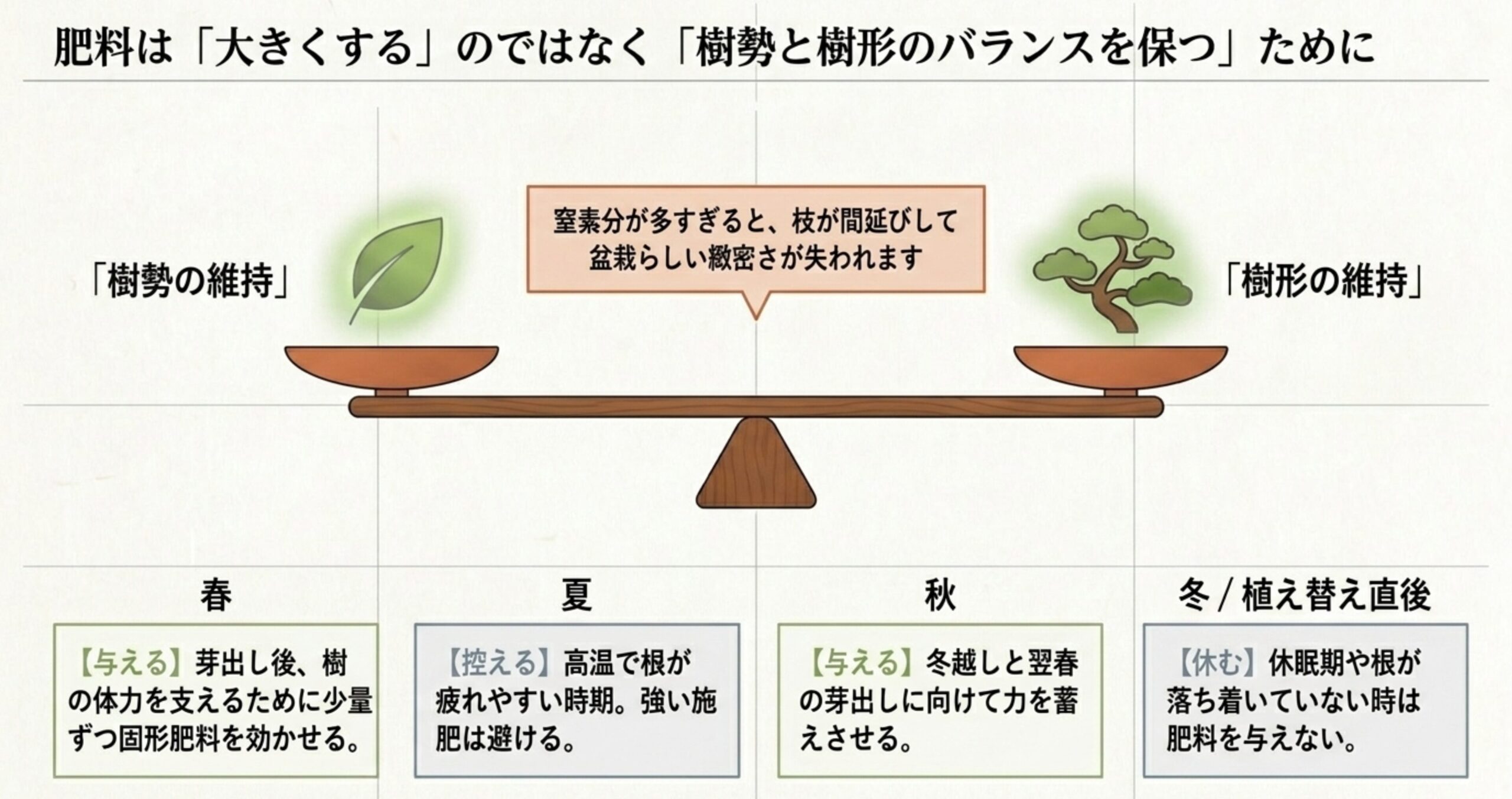 肥料は大きくするためではなく樹勢と樹形のバランスを保つために使うという説明と、春夏秋冬および植え替え直後の肥料を与える・控えるタイミングの解説 。
