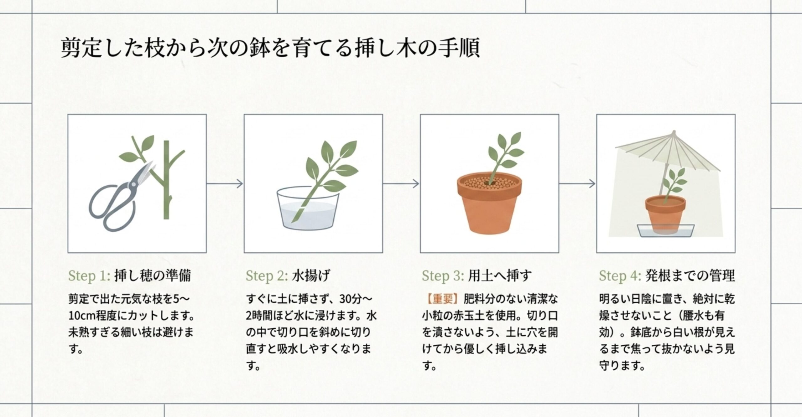 挿し穂の準備、水揚げ、用土へ挿す、発根までの管理という挿し木の4つのステップを図解した手順 。