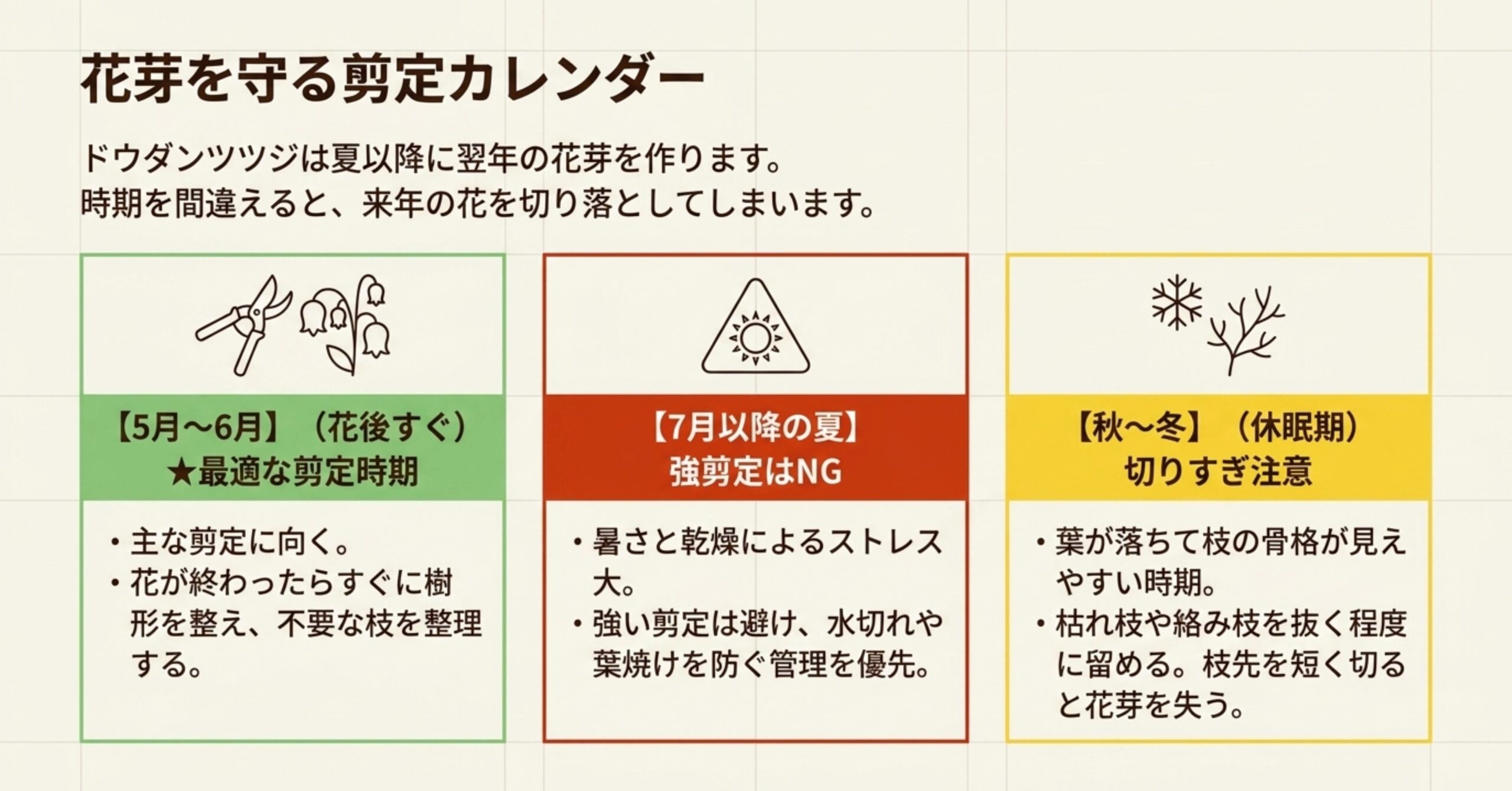 ドウダンツツジの花芽を守るための剪定カレンダー。5月〜6月が最適な剪定時期、7月以降の夏は強剪定NG、秋冬は切りすぎ注意であることを解説 。